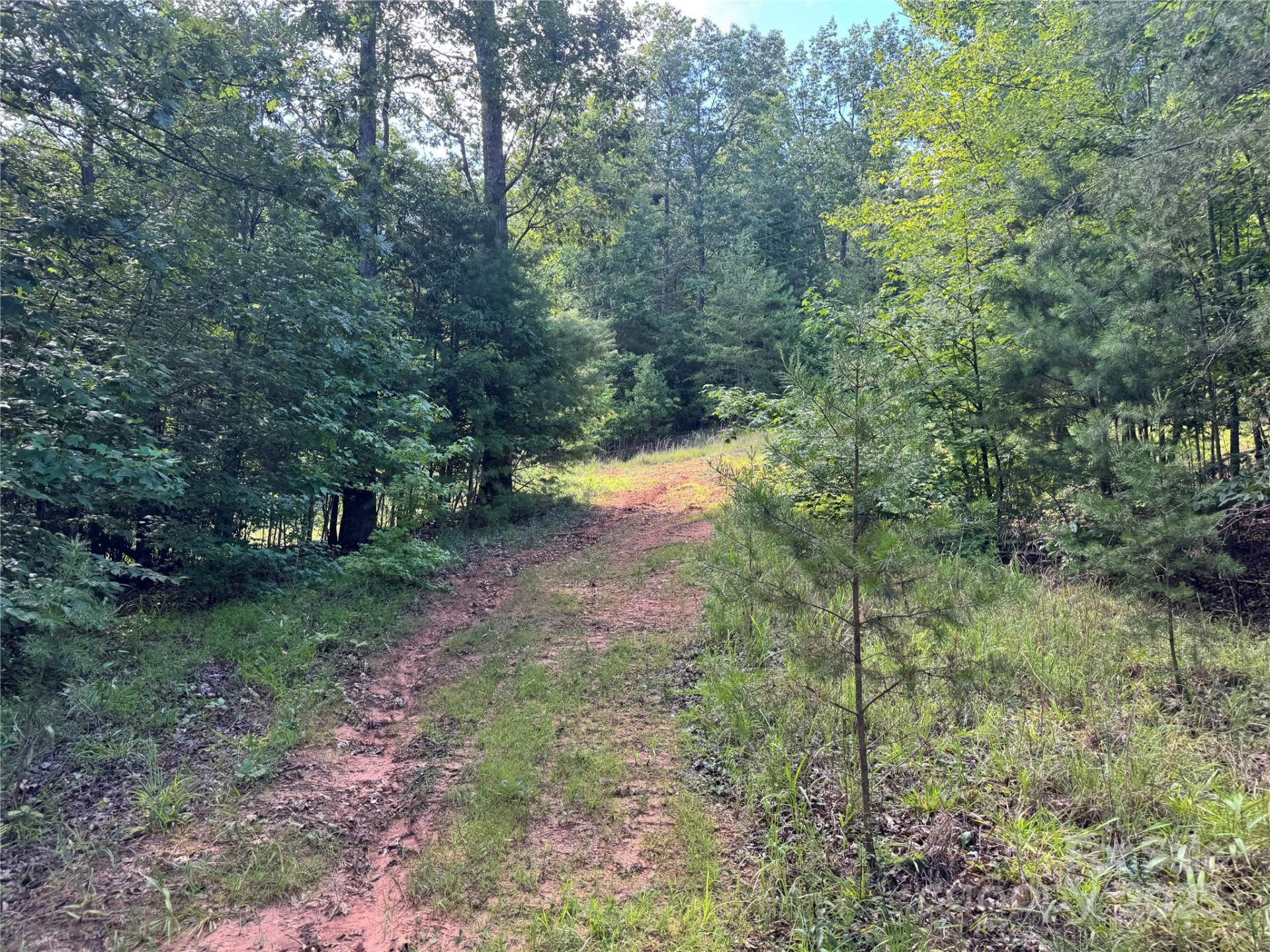 00 Rich Mountain Road - Photo 6