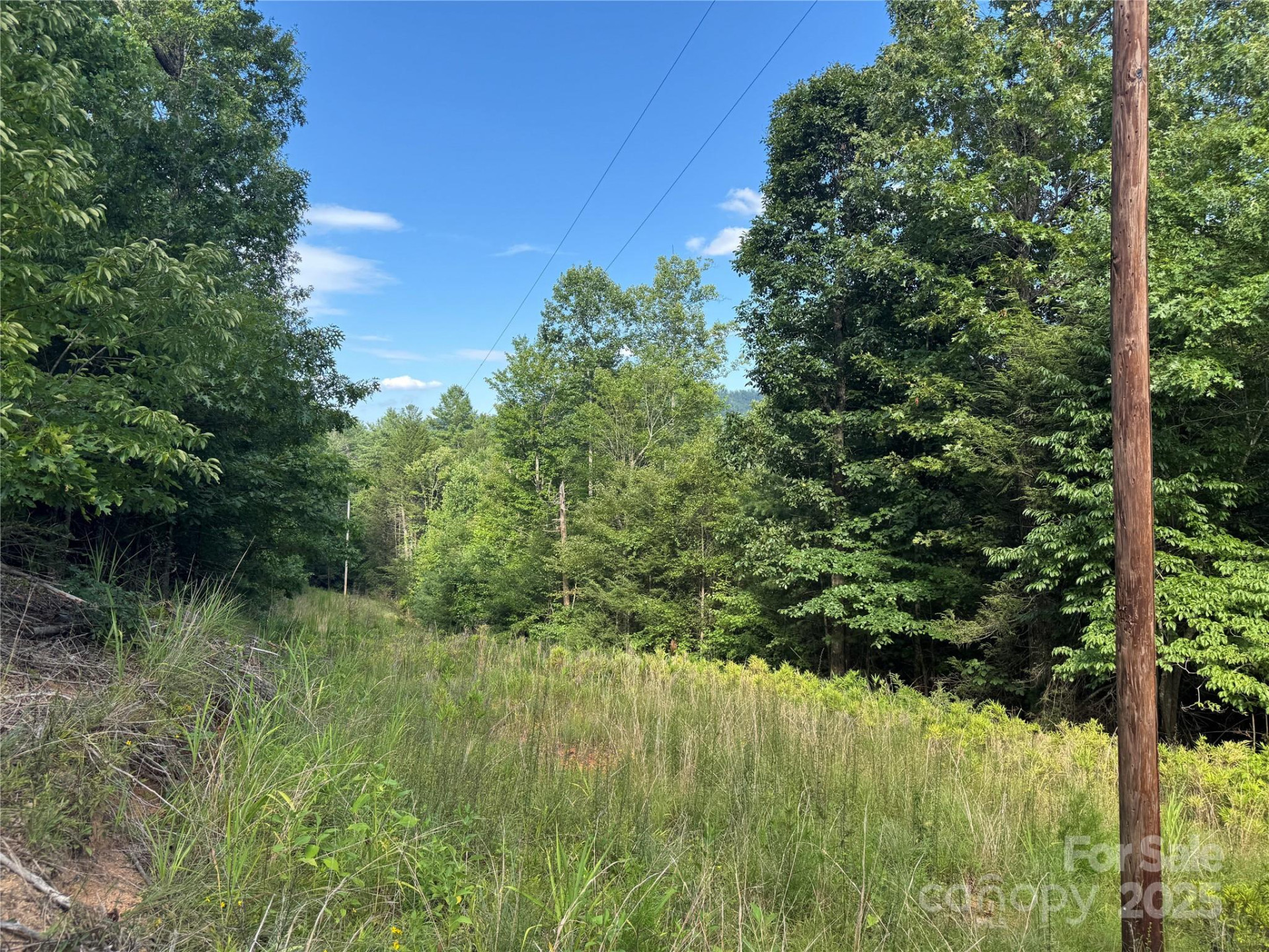 00 Rich Mountain Road - Photo 7