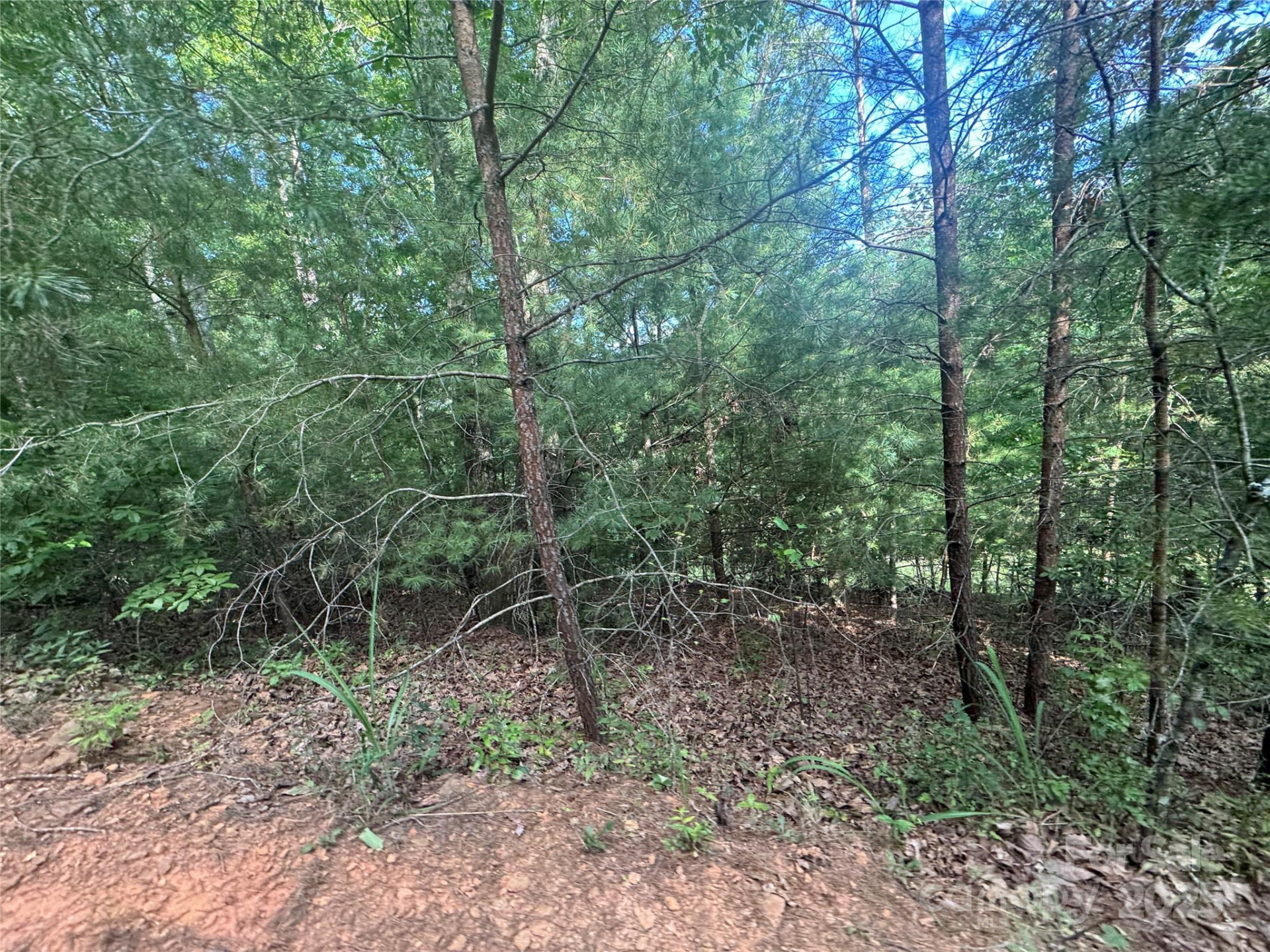 00 Rich Mountain Road - Photo 9