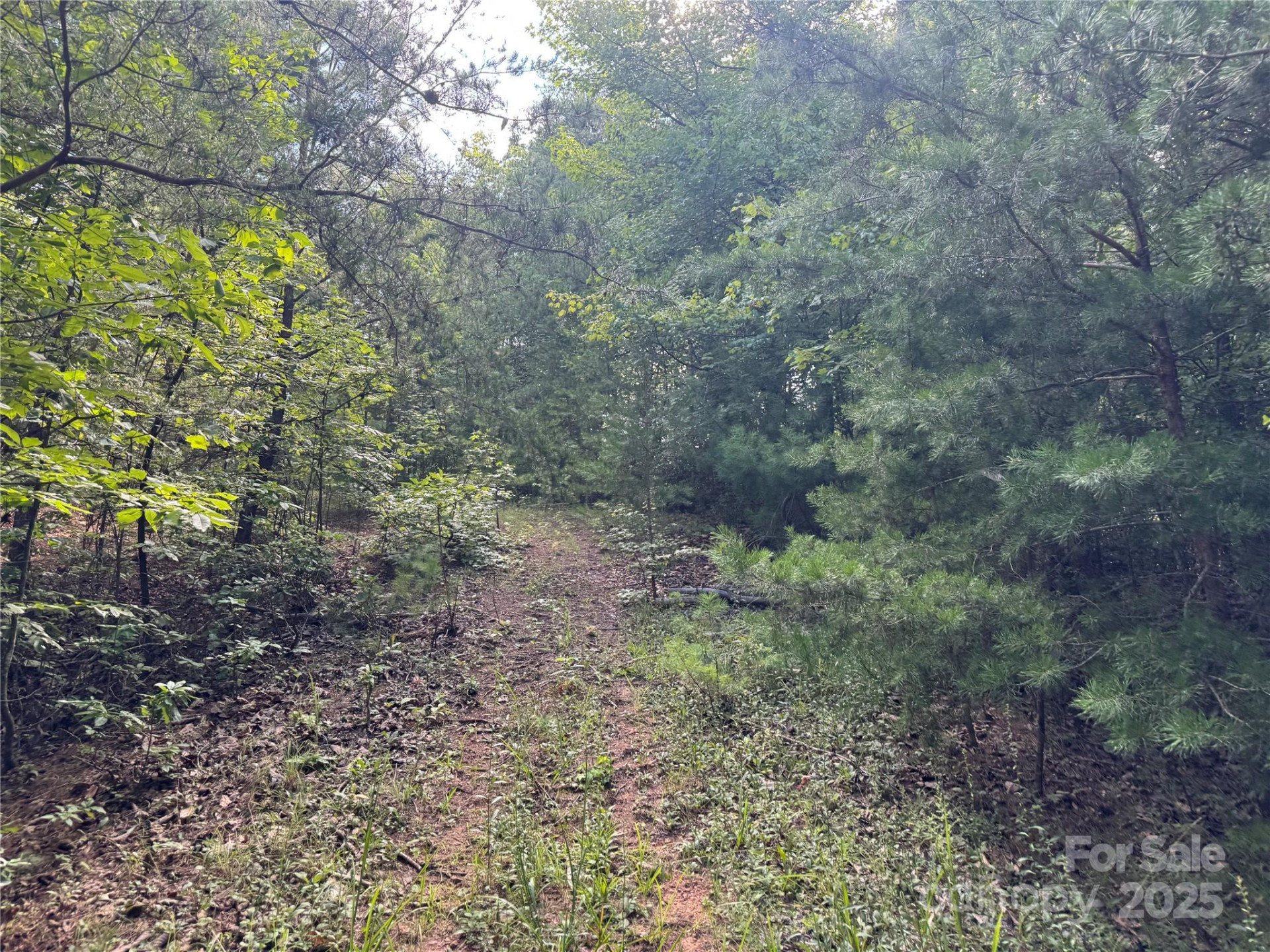 00 Rich Mountain Road - Photo 10