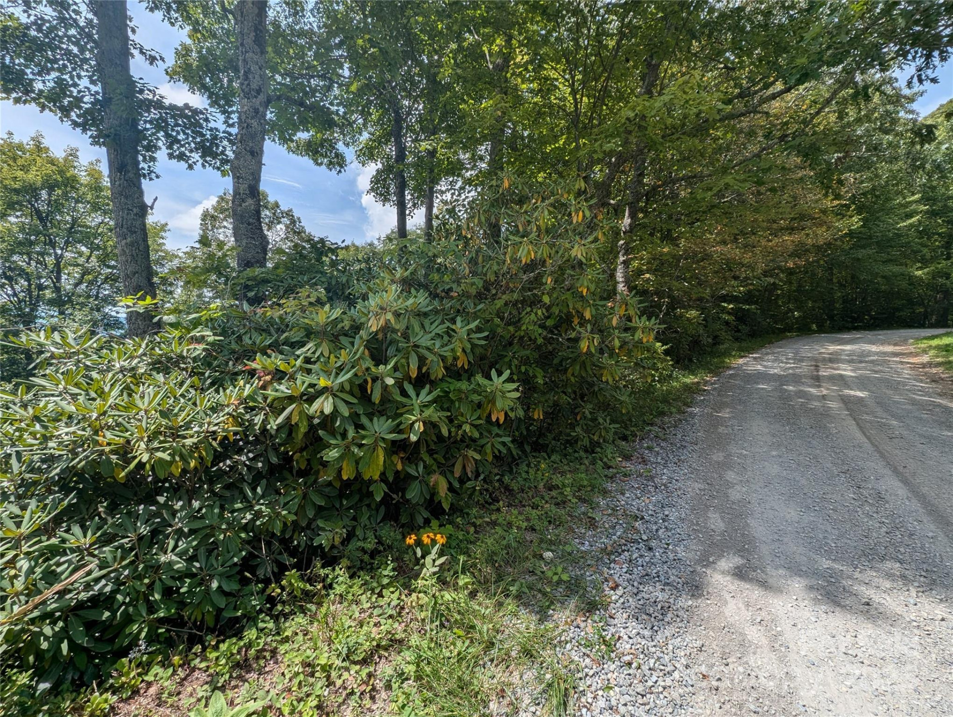 0 Greenspire Drive - Photo 2