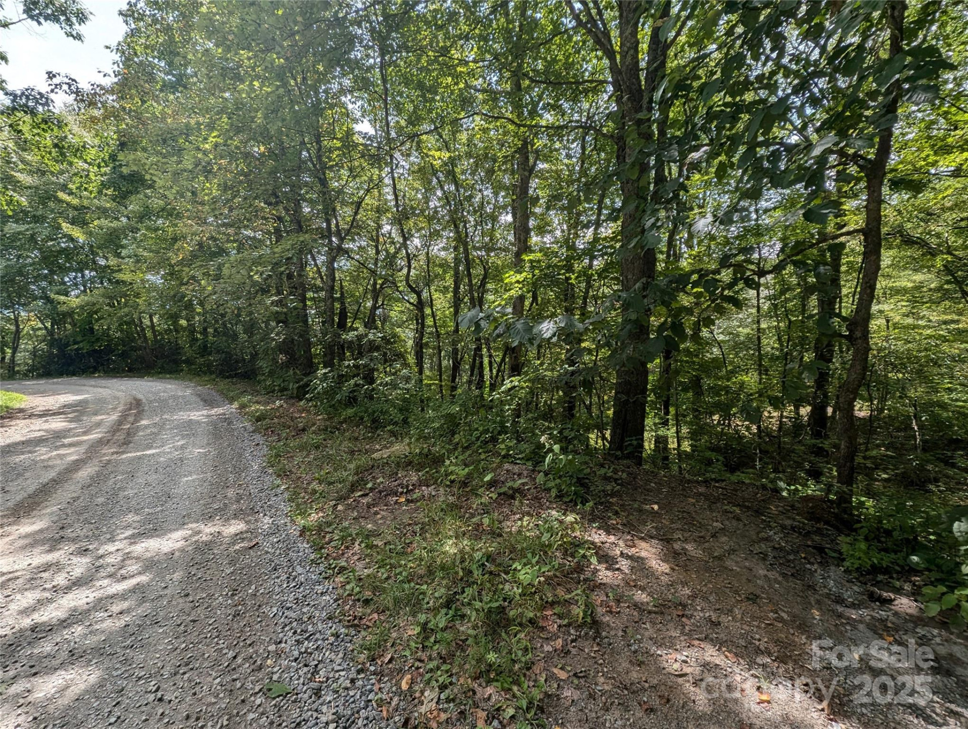 0 Greenspire Drive - Photo 3