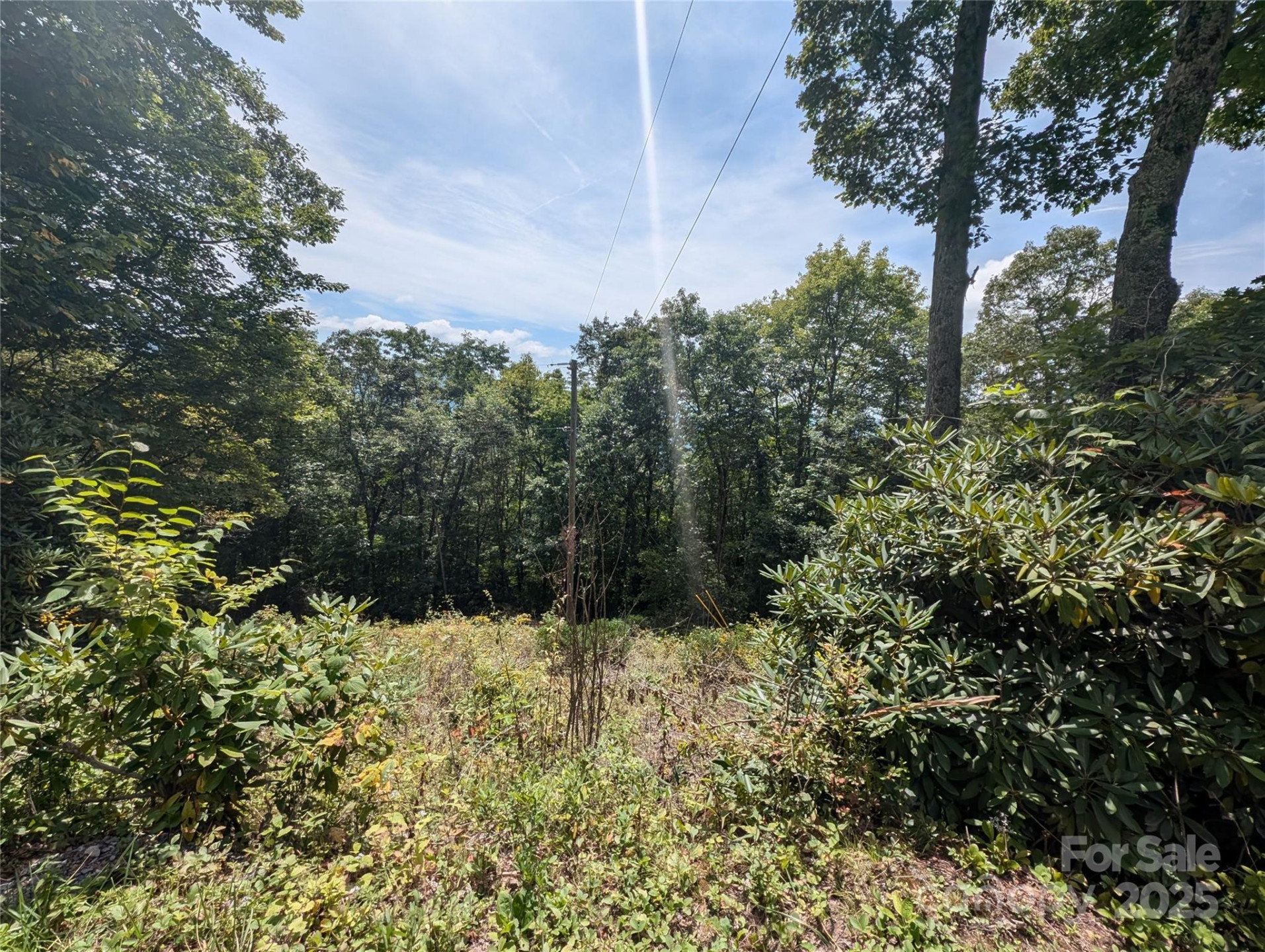 0 Greenspire Drive - Photo 6