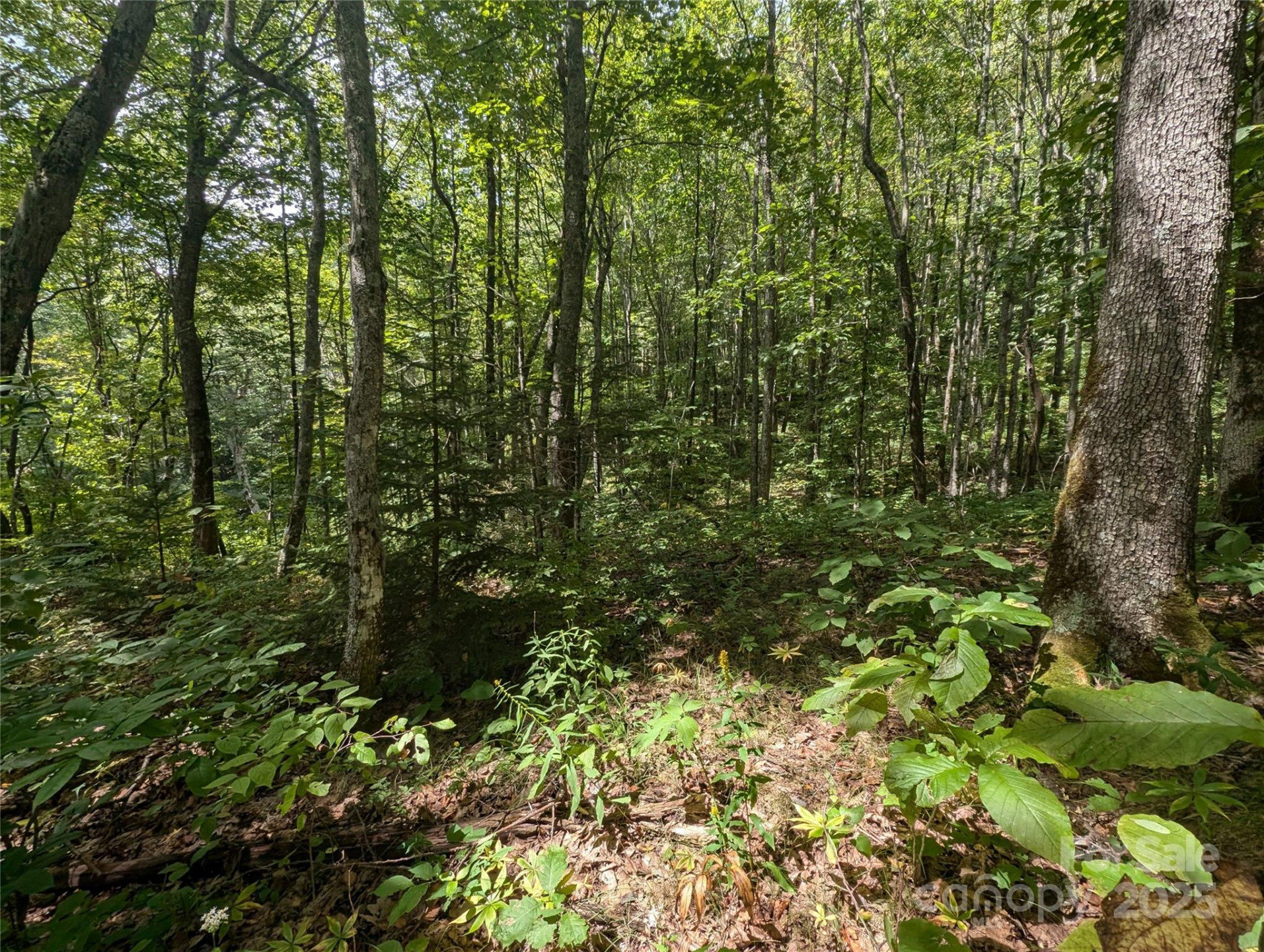 0 Greenspire Drive - Photo 8