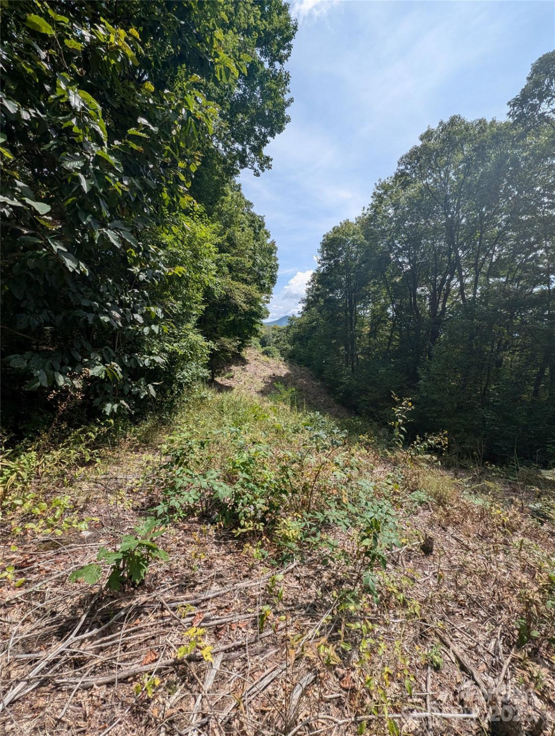 0 Greenspire Drive - Photo 9