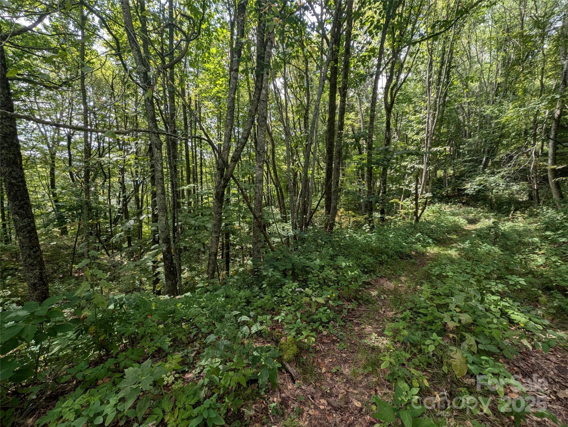 0 Greenspire Drive - Photo 10