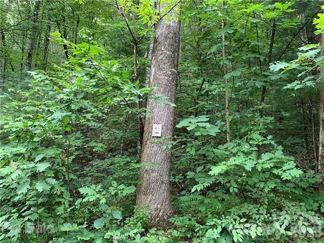 0000 Peppervine Circle #98 - Photo 2