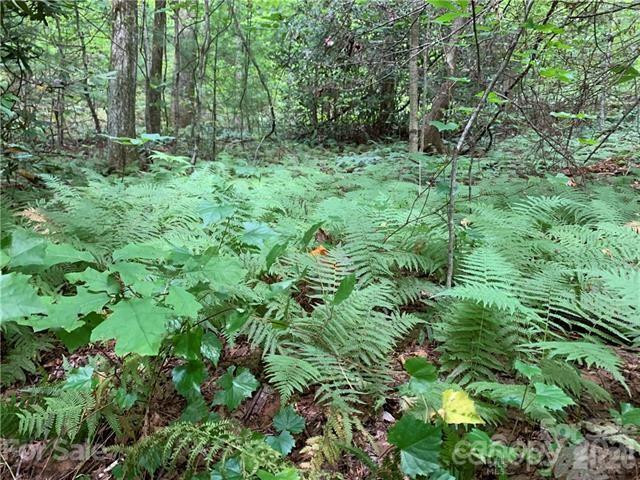 0000 Peppervine Circle #98 - Photo 3