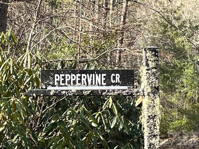 0000 Peppervine Circle #98 - Photo 4