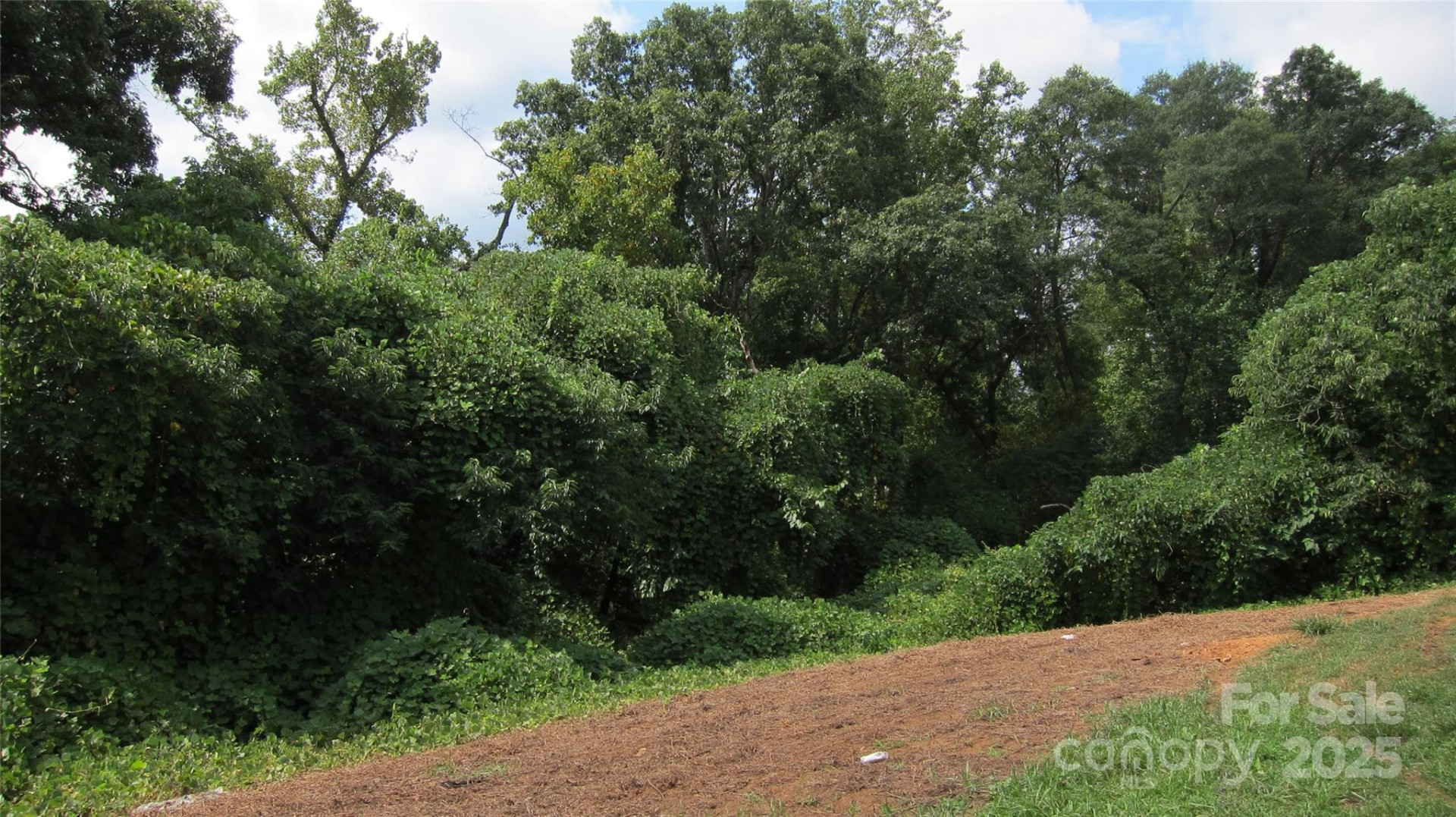 127 Hill Street - Photo 17