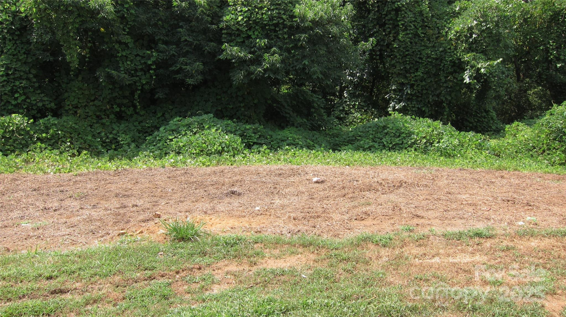 127 Hill Street - Photo 18