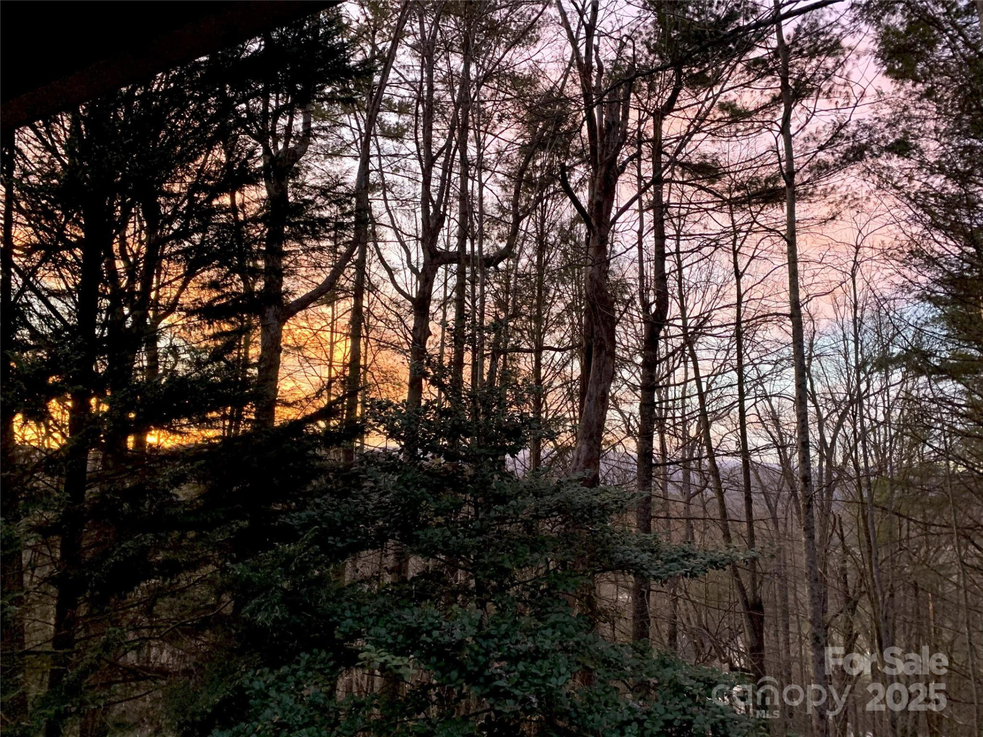 239 Three Mile Knob Road - Photo 48