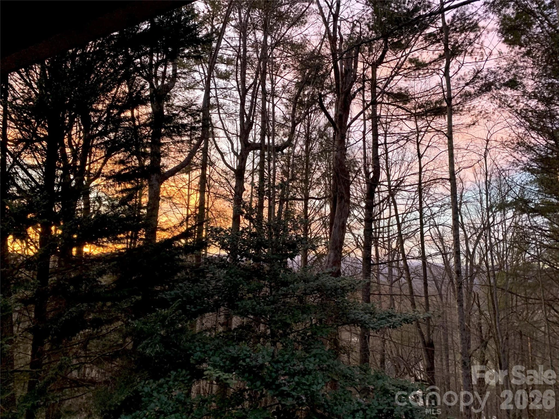 239 Three Mile Knob Road - Photo 94
