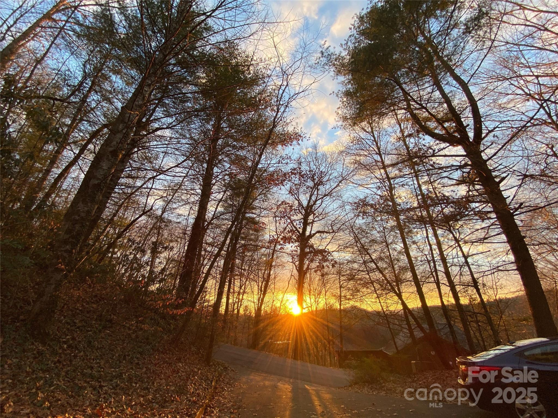 239 Three Mile Knob Road - Photo 6