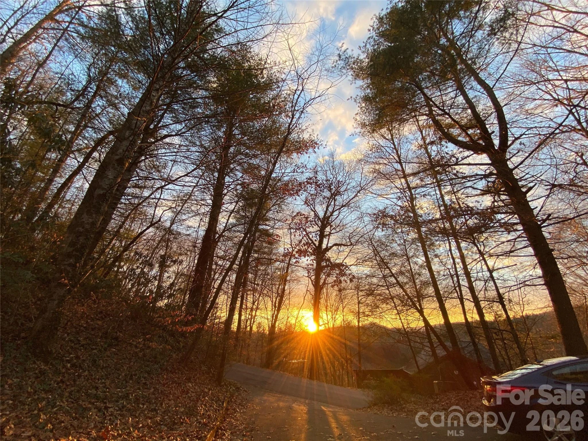 239 Three Mile Knob Road - Photo 12