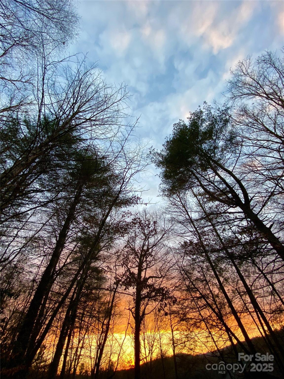 239 Three Mile Knob Road - Photo 9