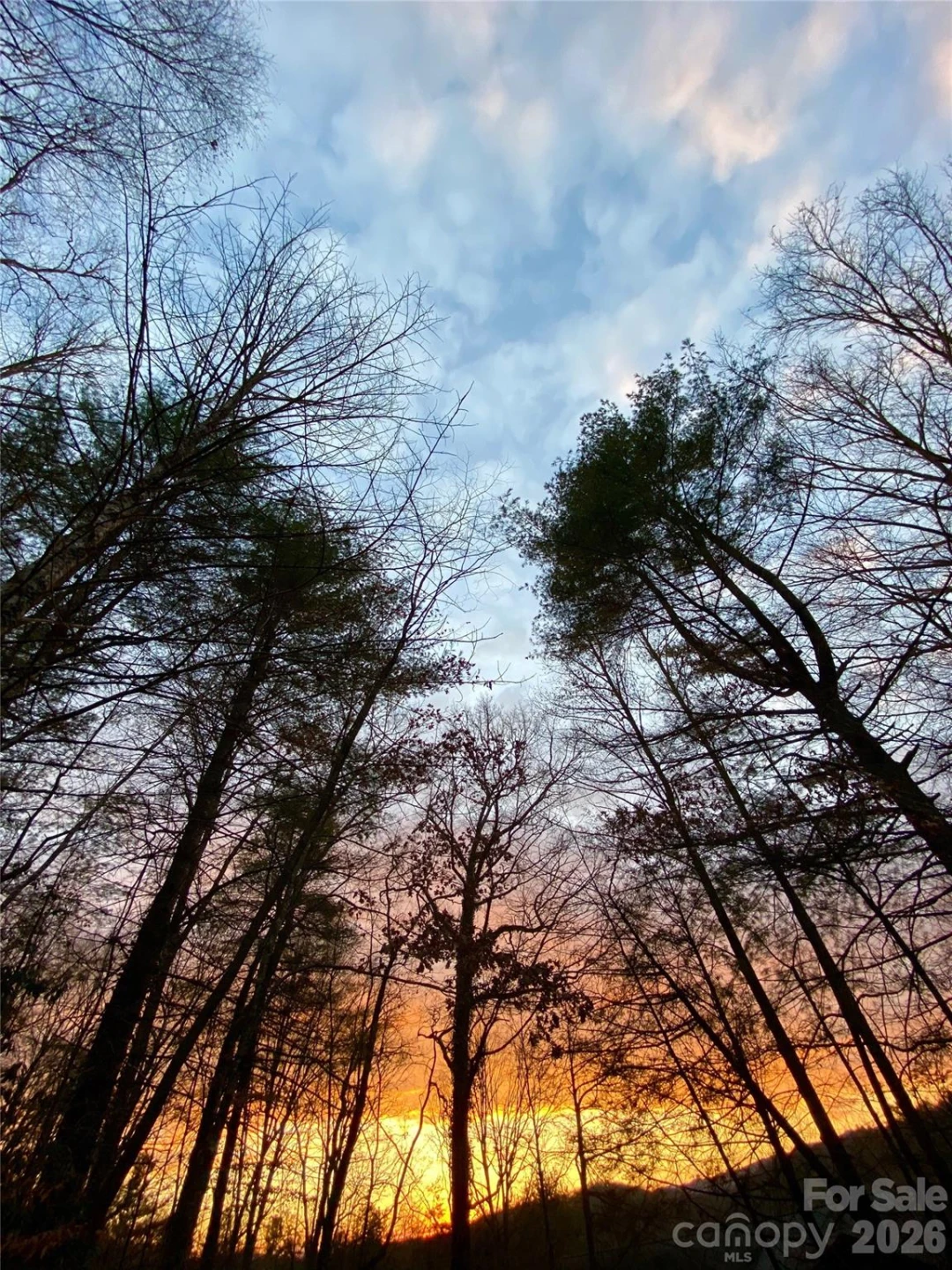 239 Three Mile Knob Road - Photo 18