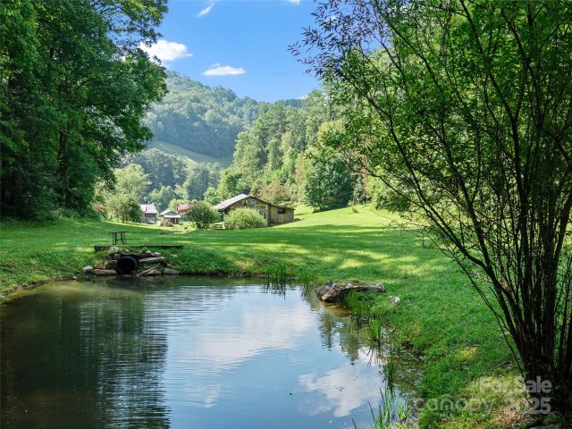 9065 NC 63 Highway, Leicester, NC, 28748