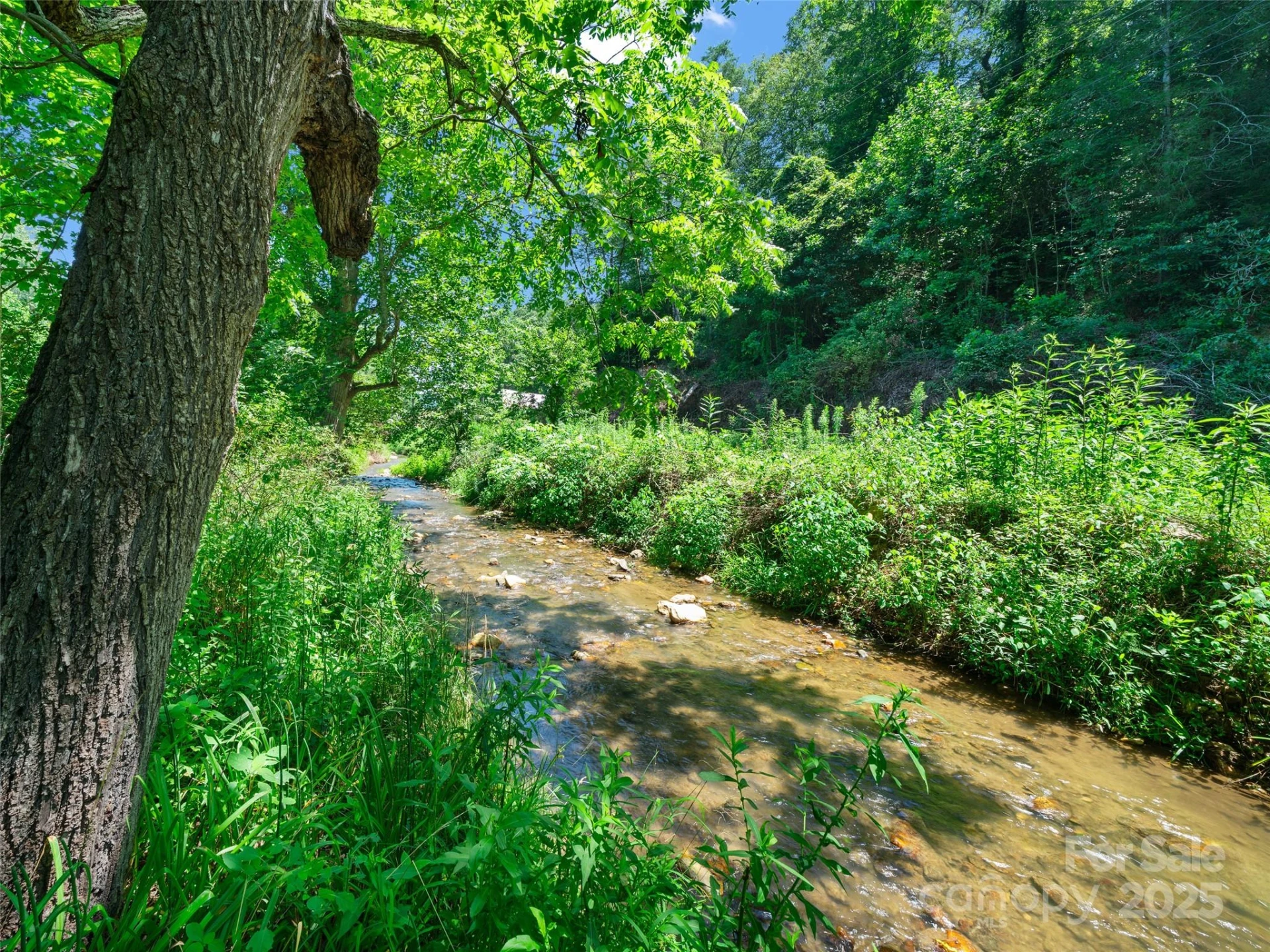 9065 NC 63 Highway - Photo 2