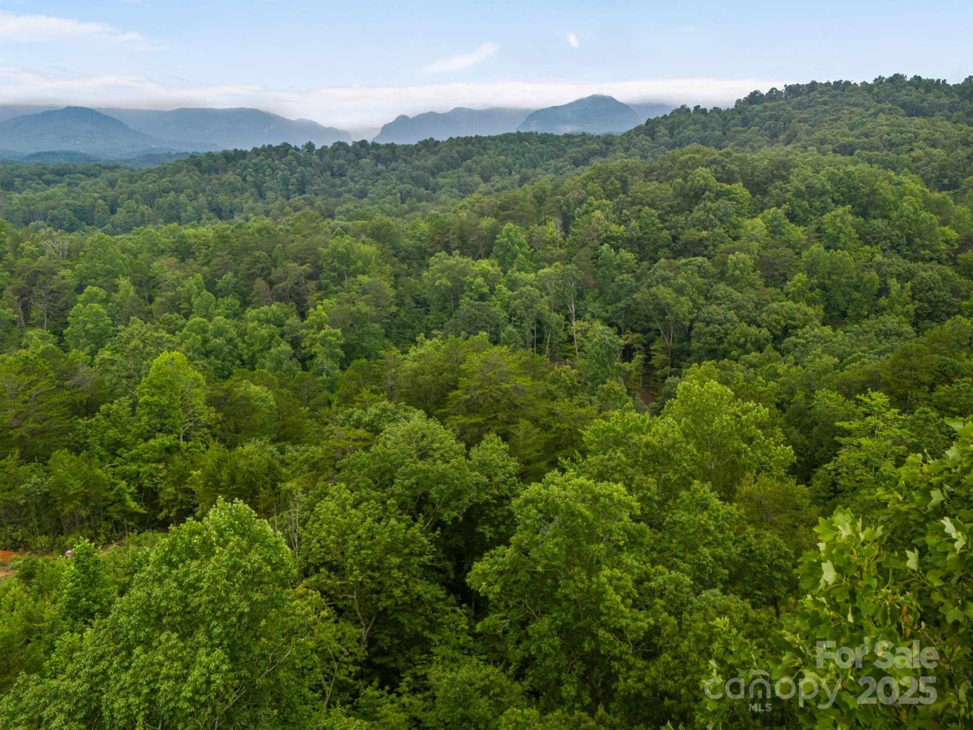 99999 Deer Jump Trail #348 - Photo 13