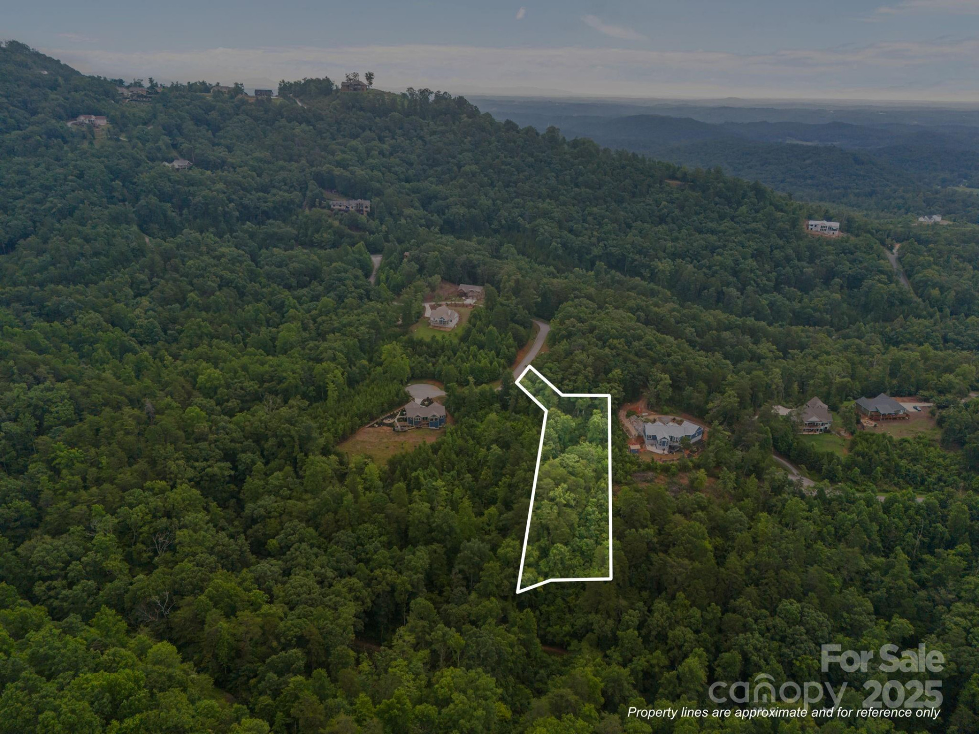 99999 Deer Jump Trail #348 - Photo 3