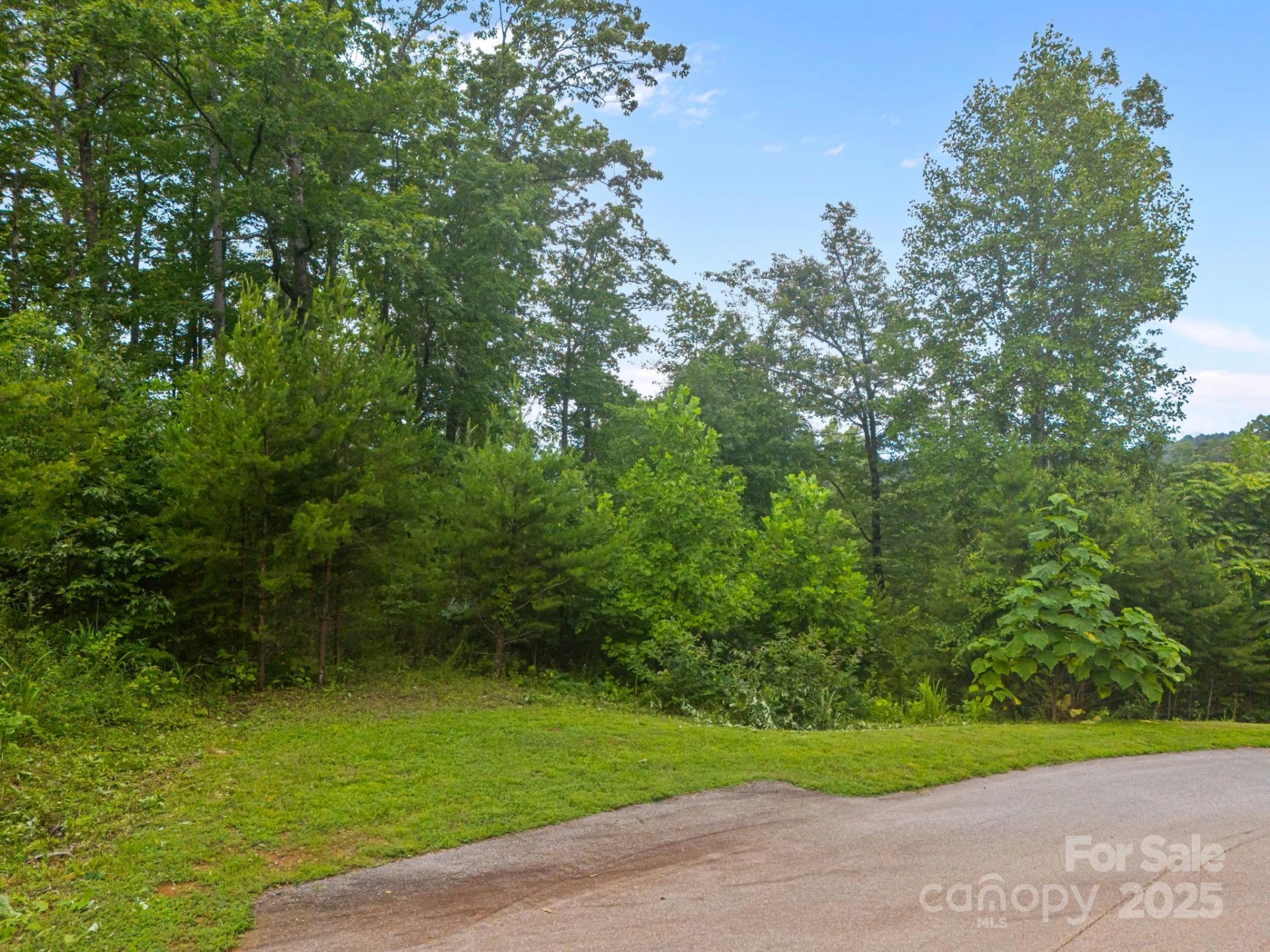 99999 Deer Jump Trail #348 - Photo 4