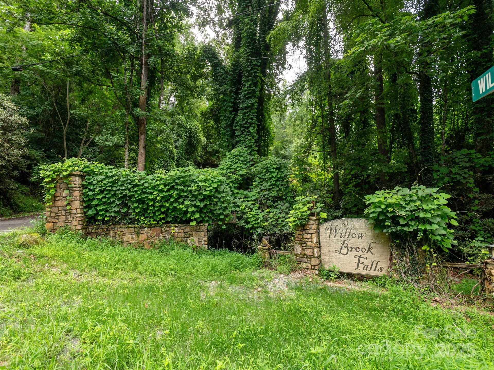 0 Willow Falls Lane - Photo 2