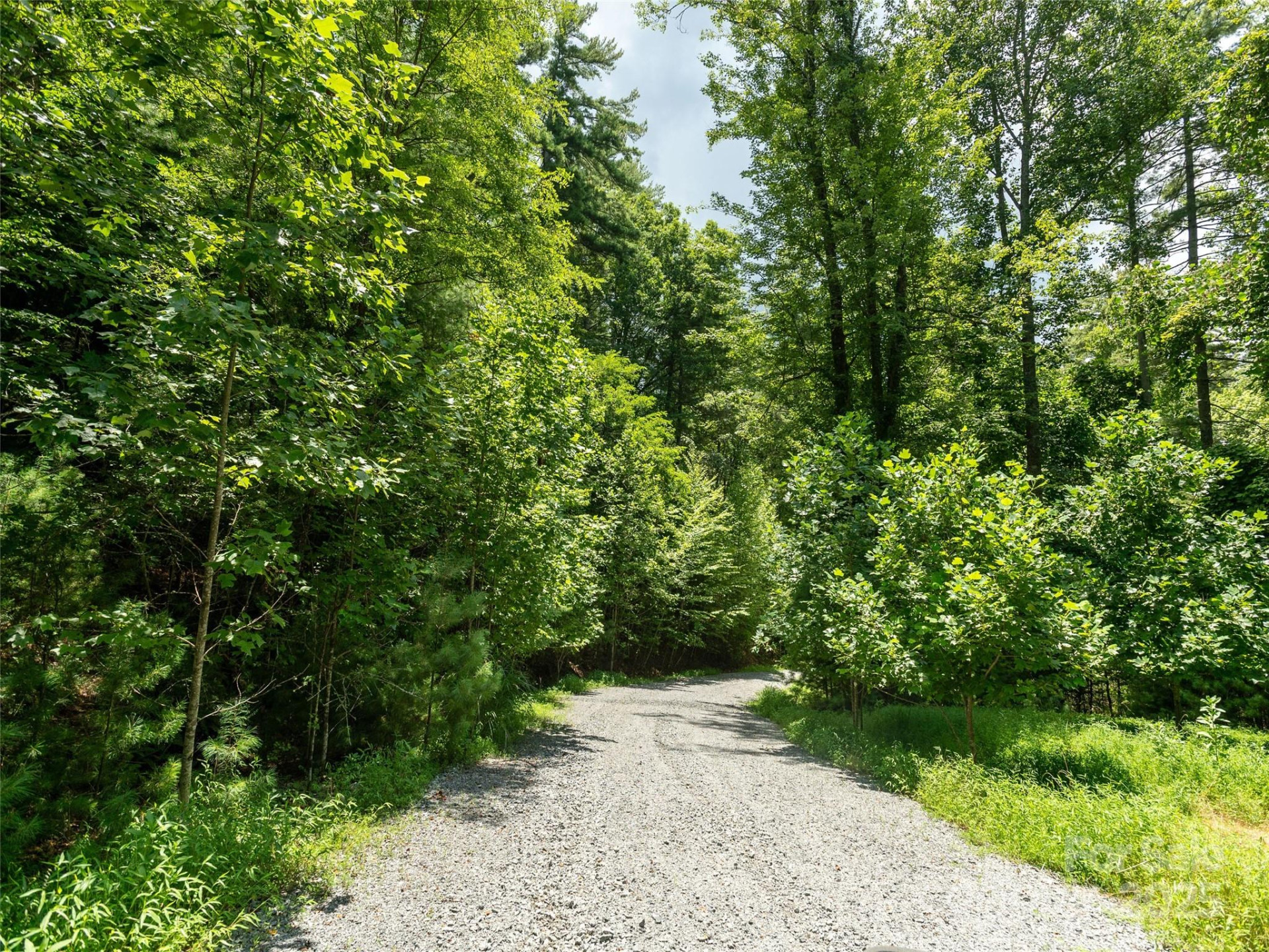 0 Willow Falls Lane - Photo 11