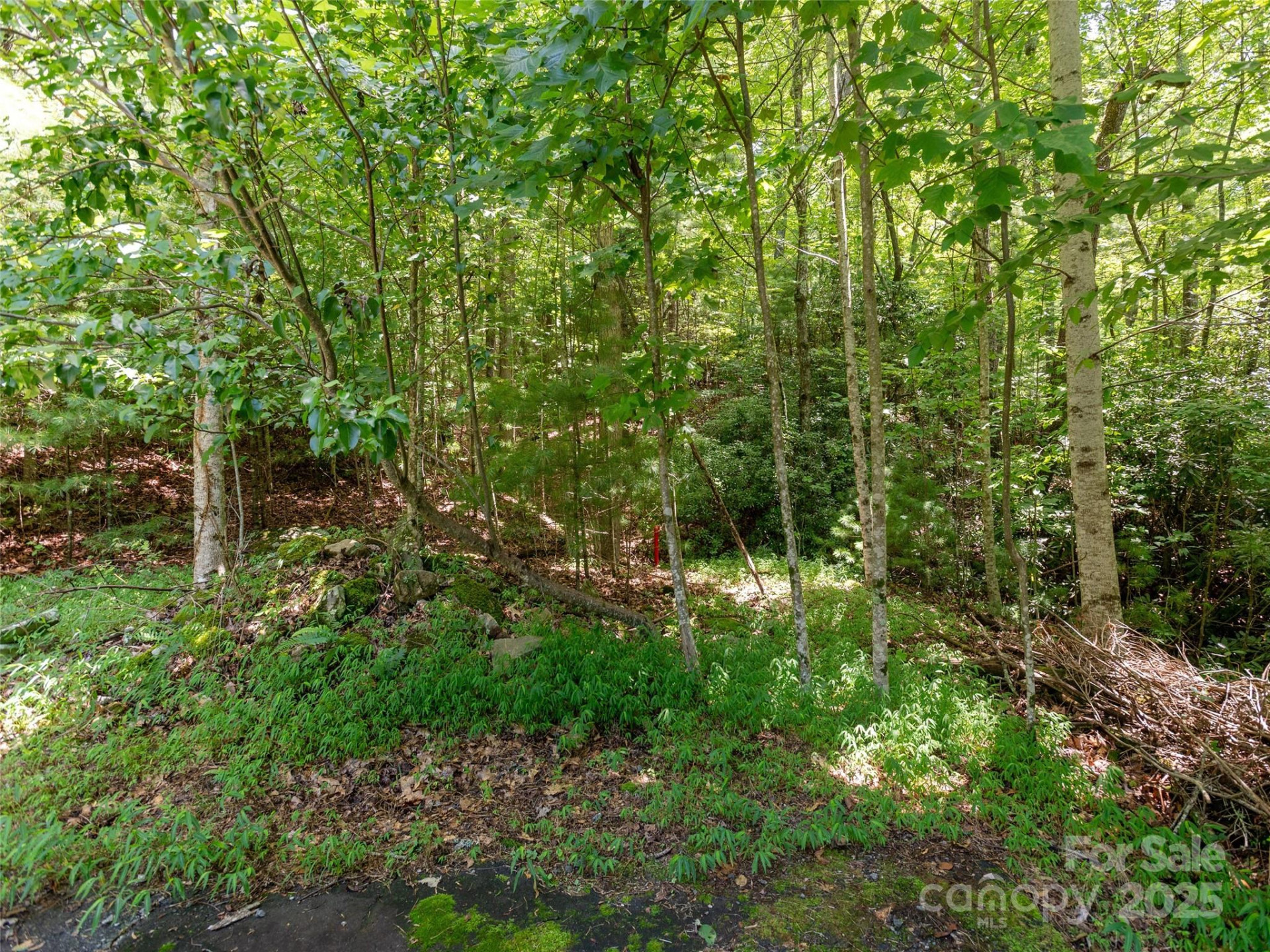 0 Willow Falls Lane - Photo 13