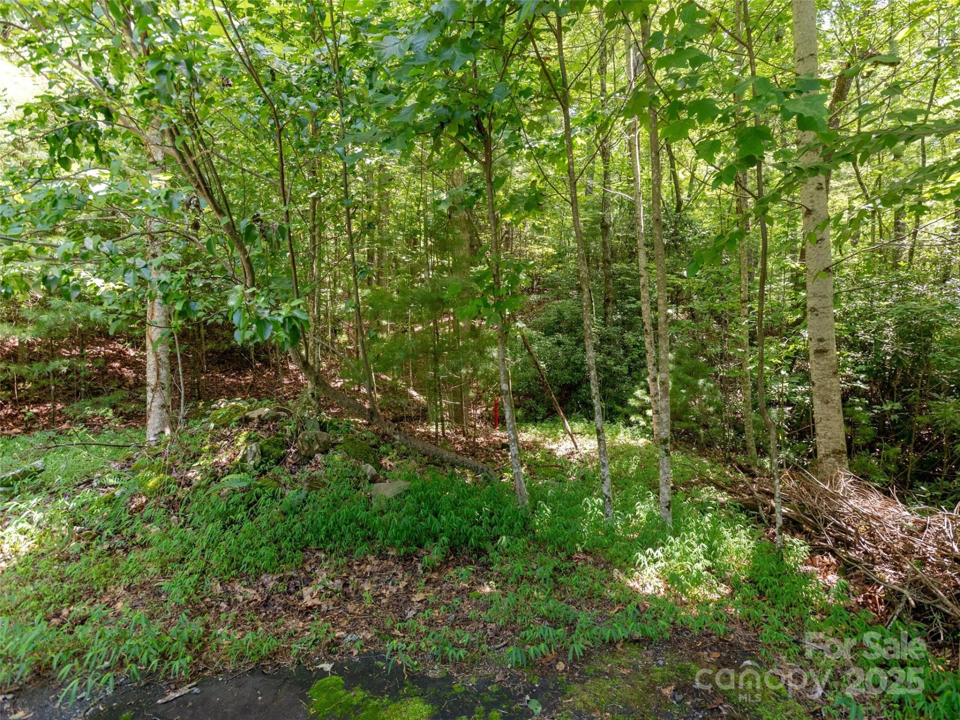 0 Willow Falls Lane - Photo 13