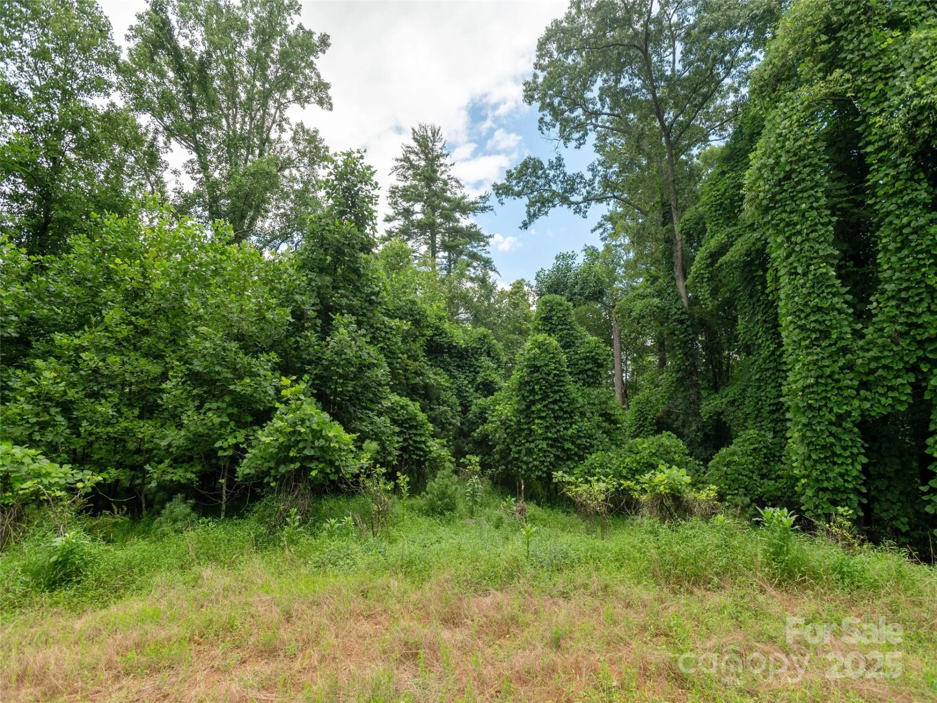 0 Willow Falls Lane - Photo 3