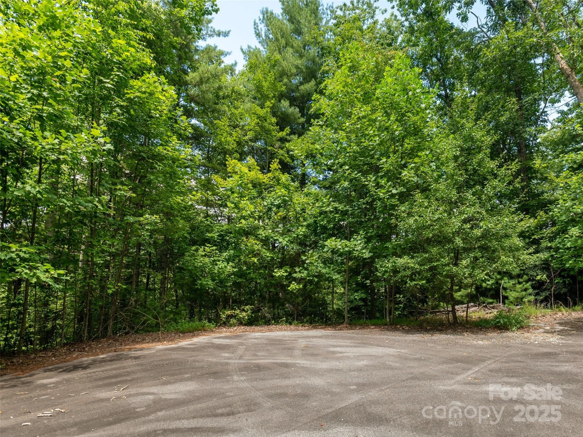 0 Willow Falls Lane - Photo 6