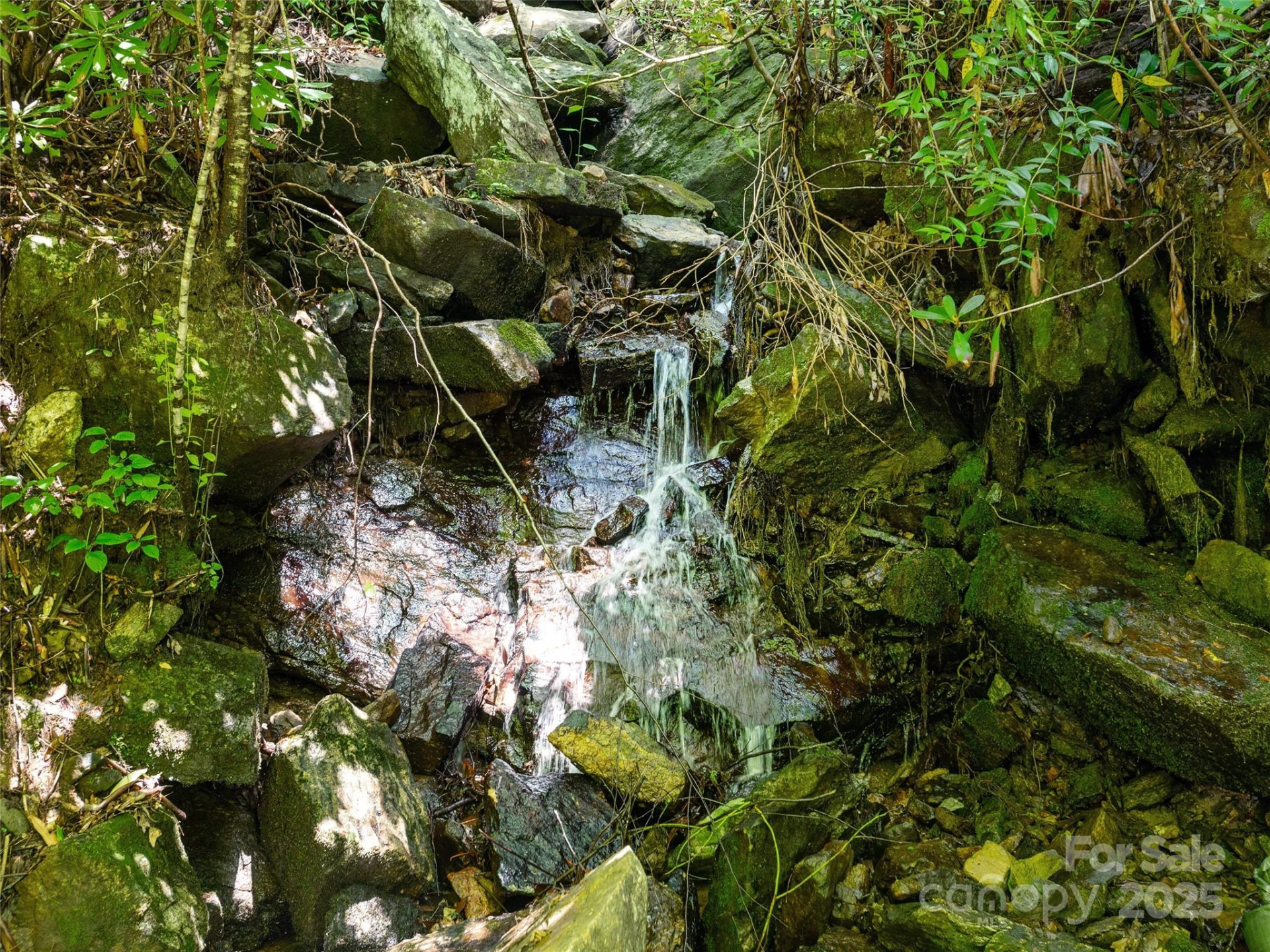 0 Willow Falls Lane - Photo 7