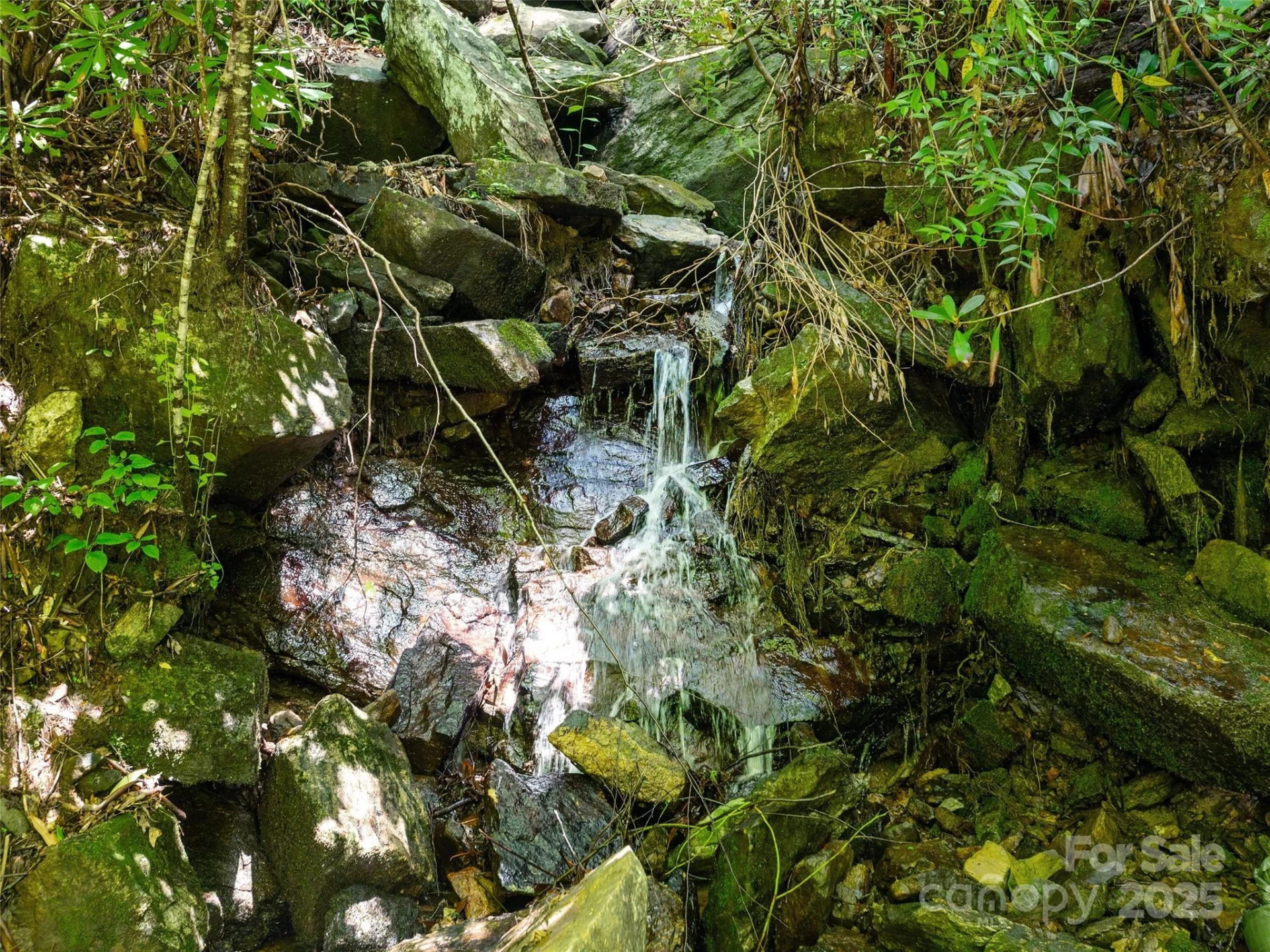 0 Willow Falls Lane - Photo 7