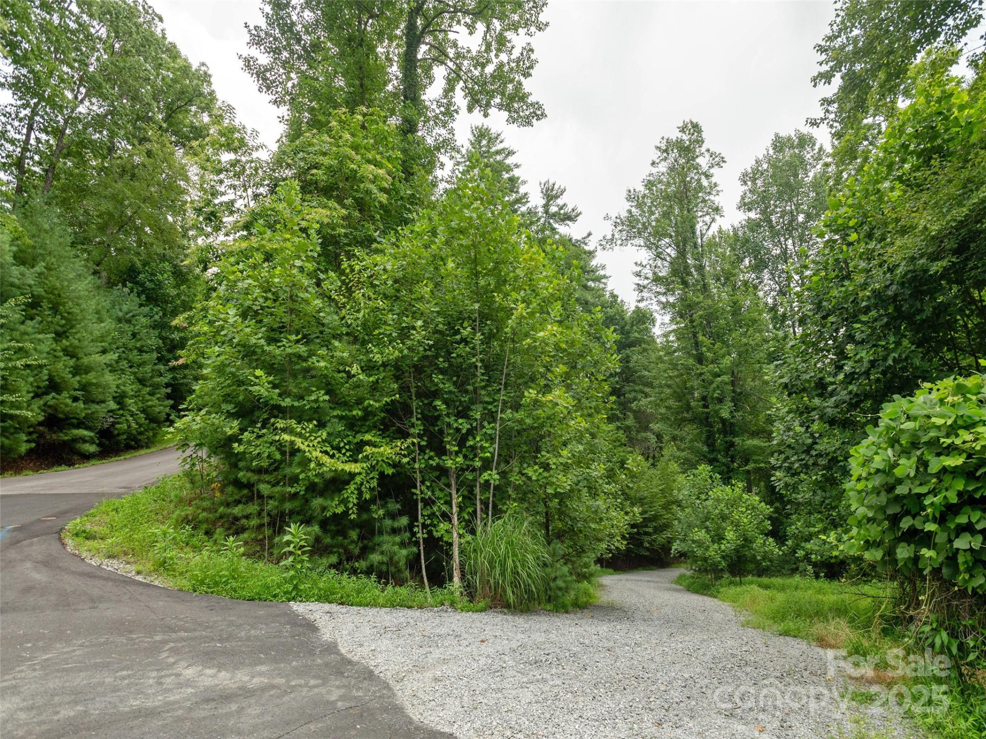 0 Willow Falls Lane - Photo 8