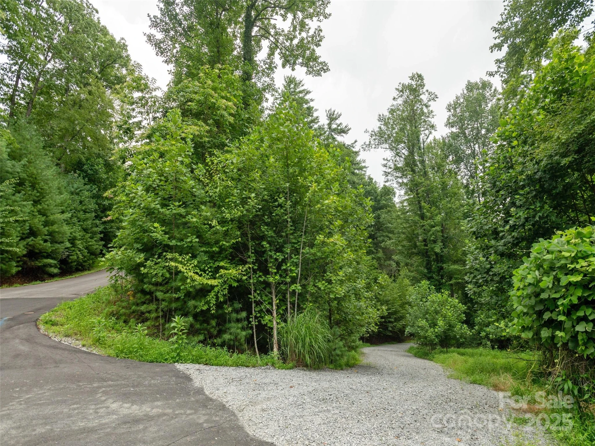 0 Willow Falls Lane - Photo 8