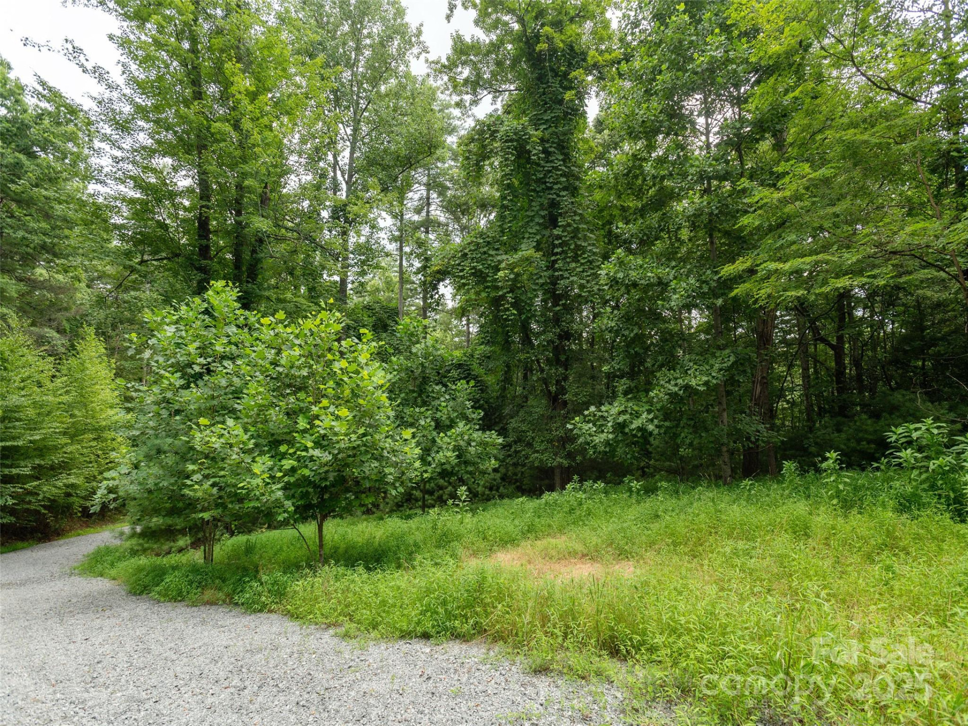 0 Willow Falls Lane - Photo 9