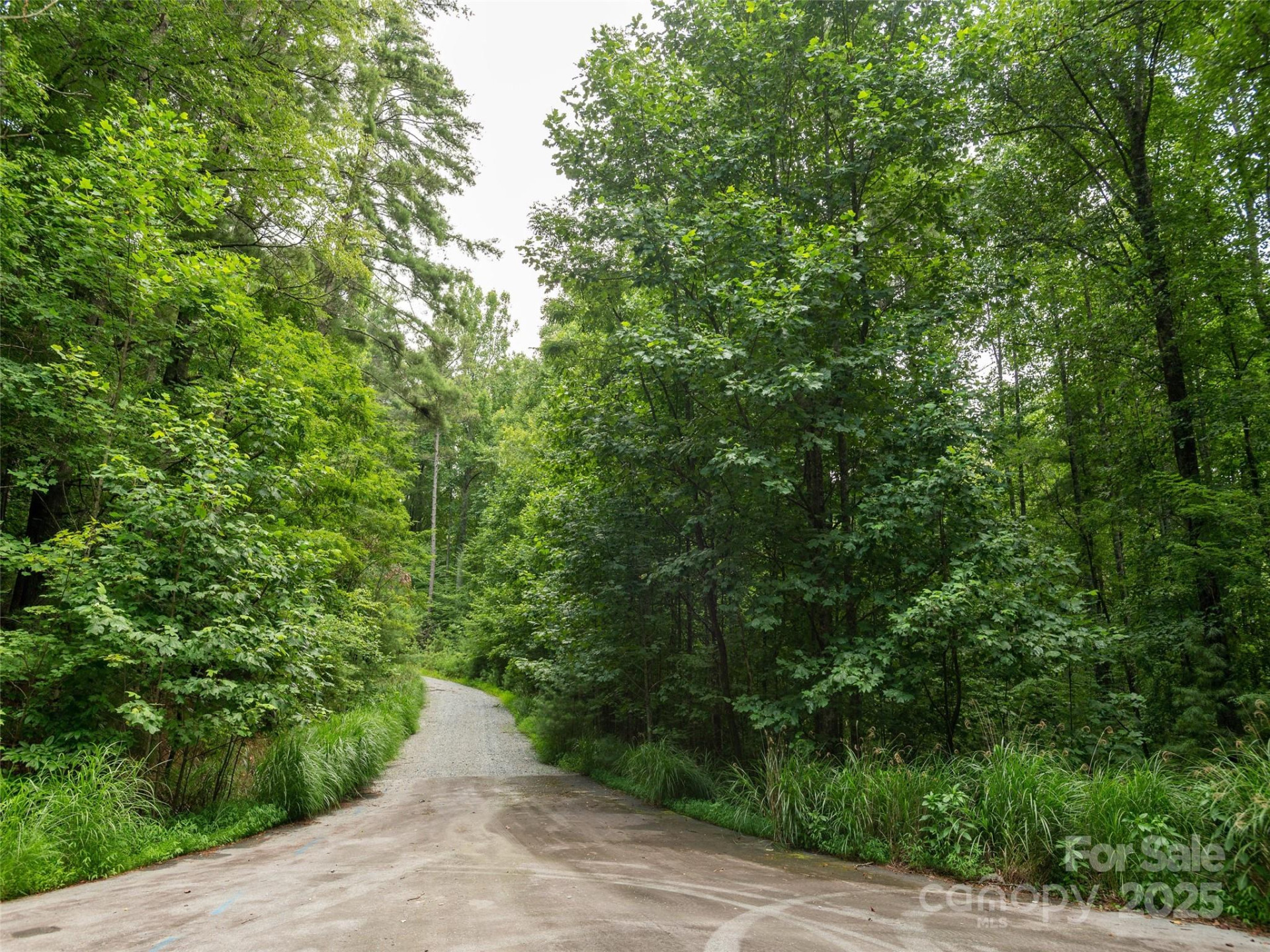 0 Willow Falls Lane - Photo 10