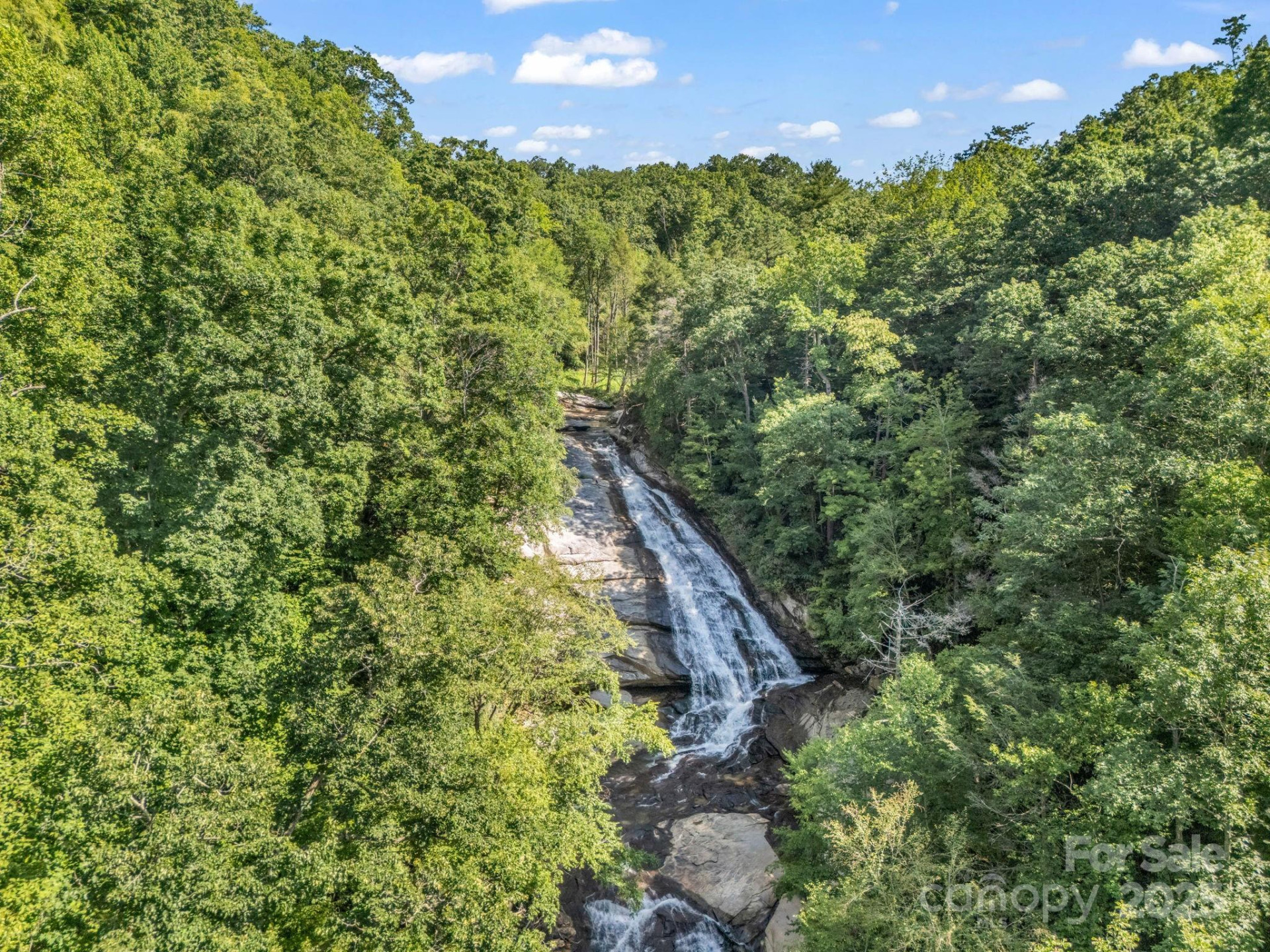 2716 Lower Flat Creek Road - Photo 13