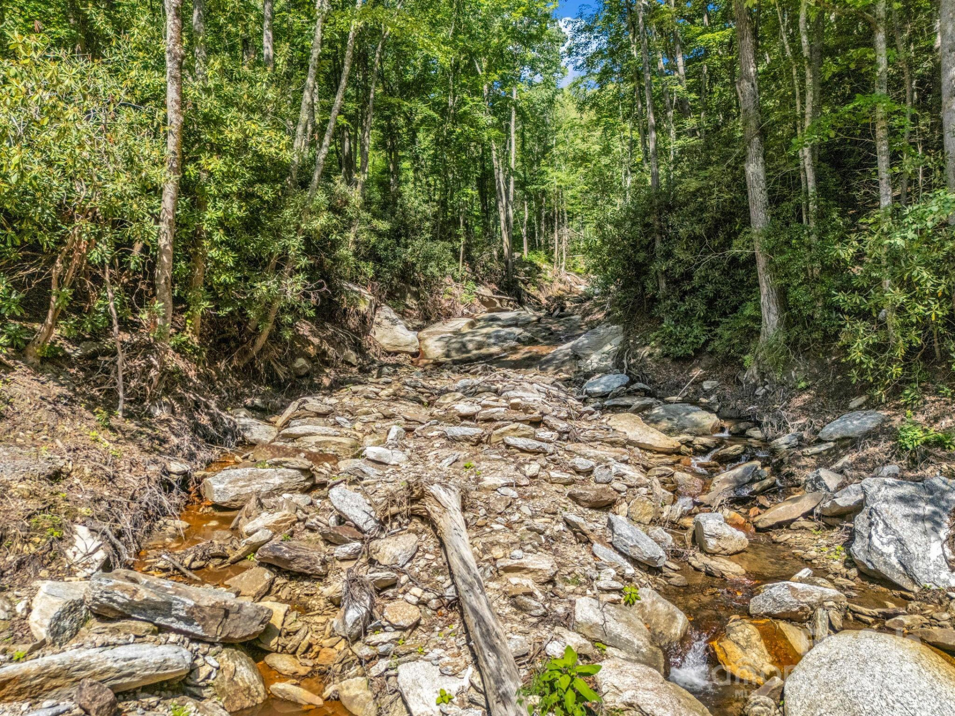 2716 Lower Flat Creek Road - Photo 15