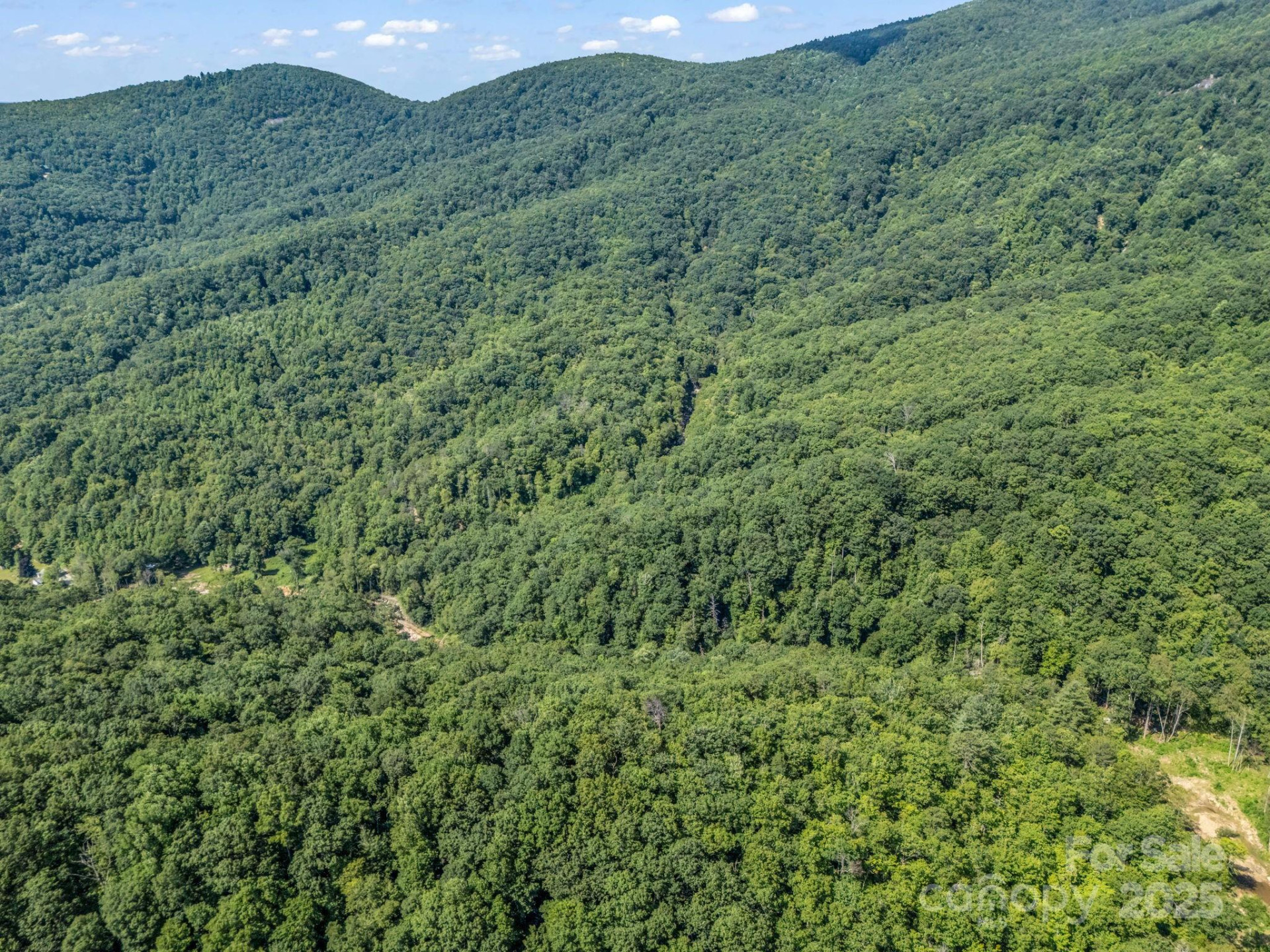 2716 Lower Flat Creek Road - Photo 25