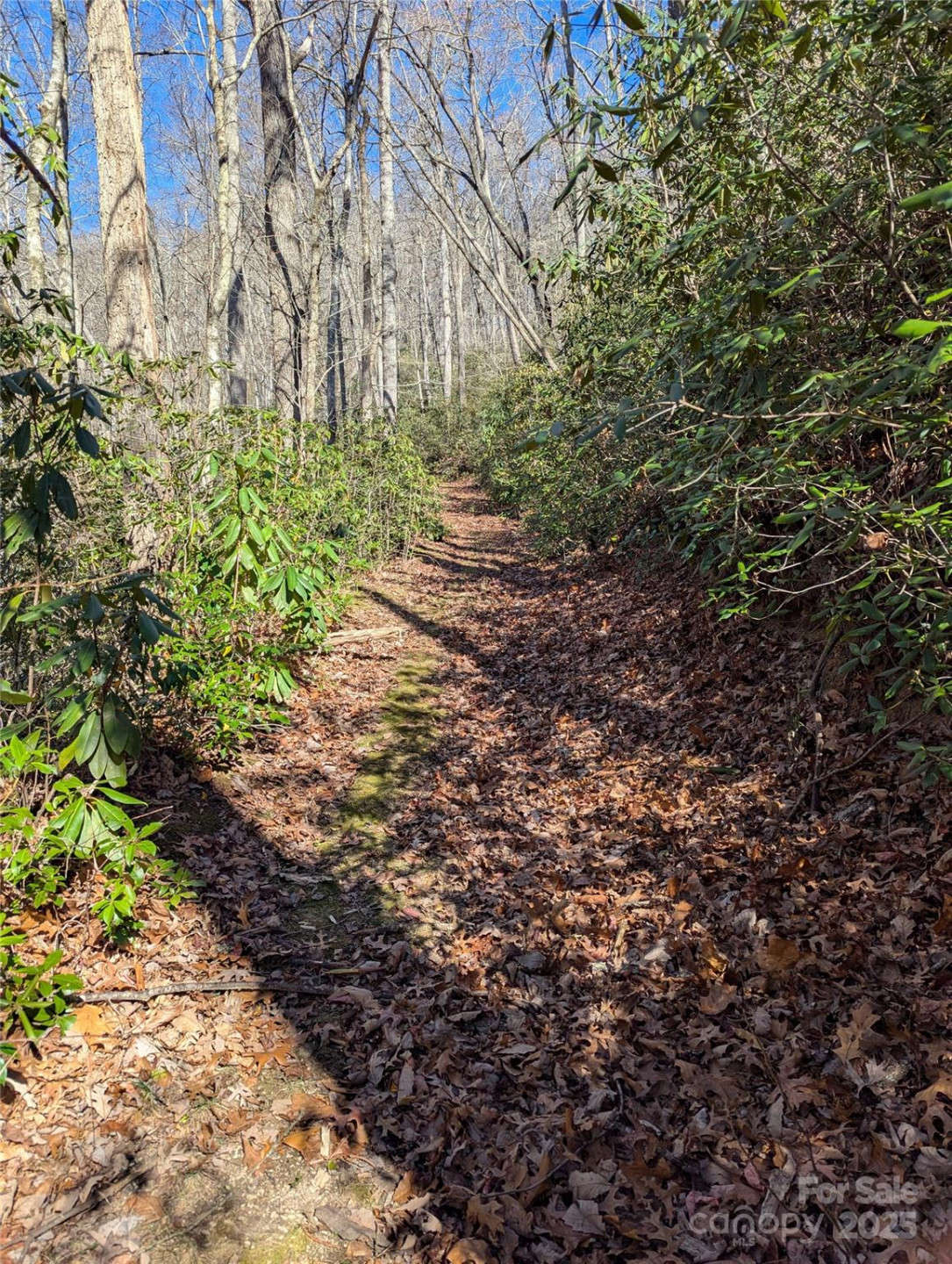 2716 Lower Flat Creek Road - Photo 40