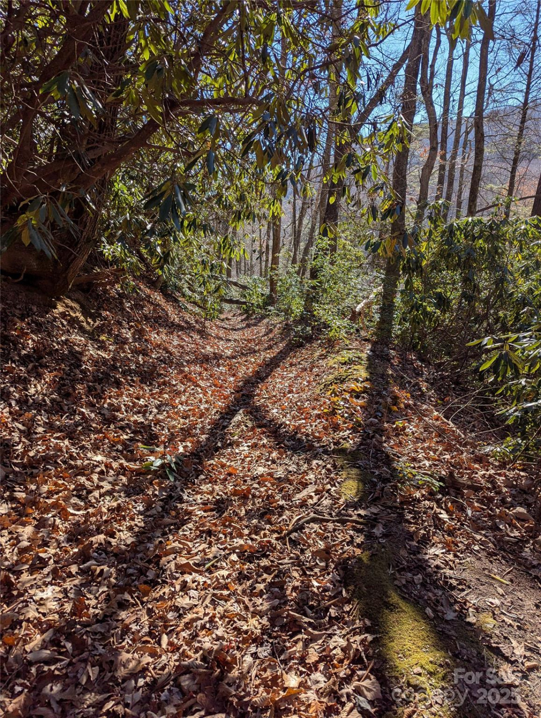 2716 Lower Flat Creek Road - Photo 41