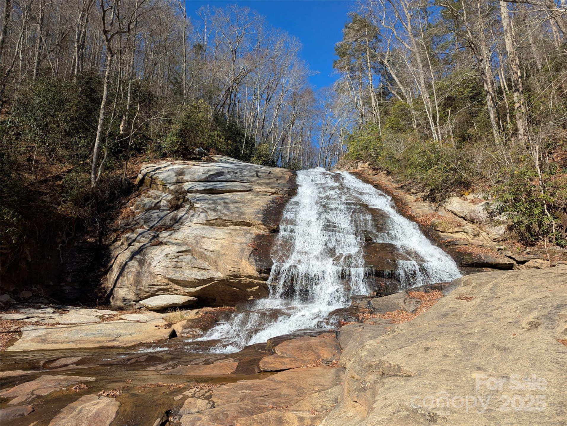 2716 Lower Flat Creek Road - Photo 43