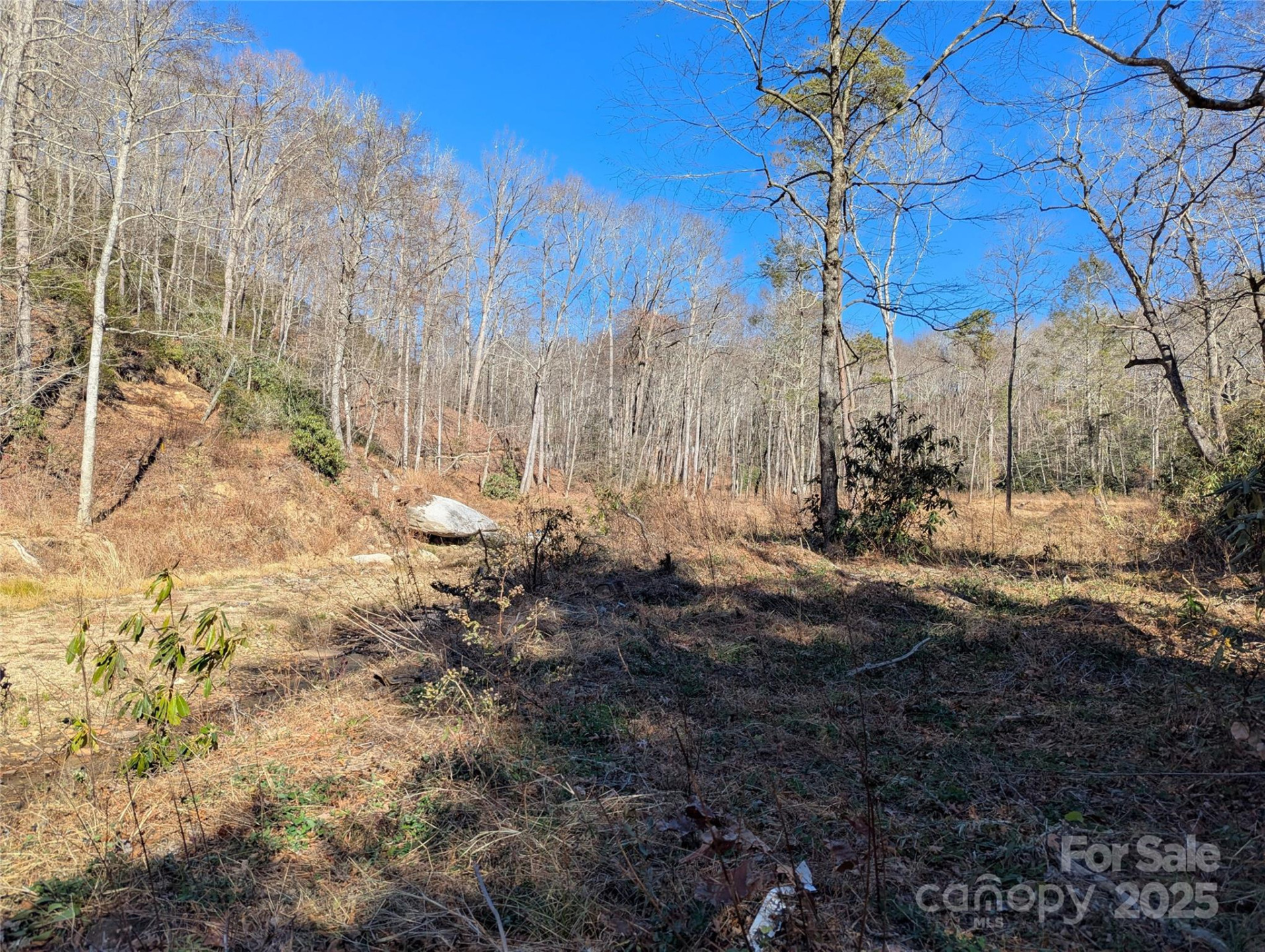 2716 Lower Flat Creek Road - Photo 45