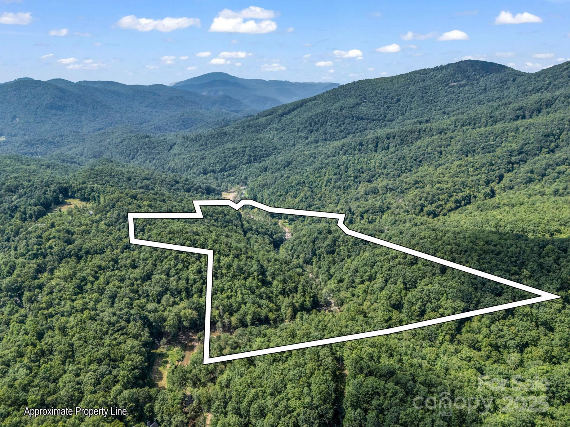 2716 Lower Flat Creek Road - Photo 7