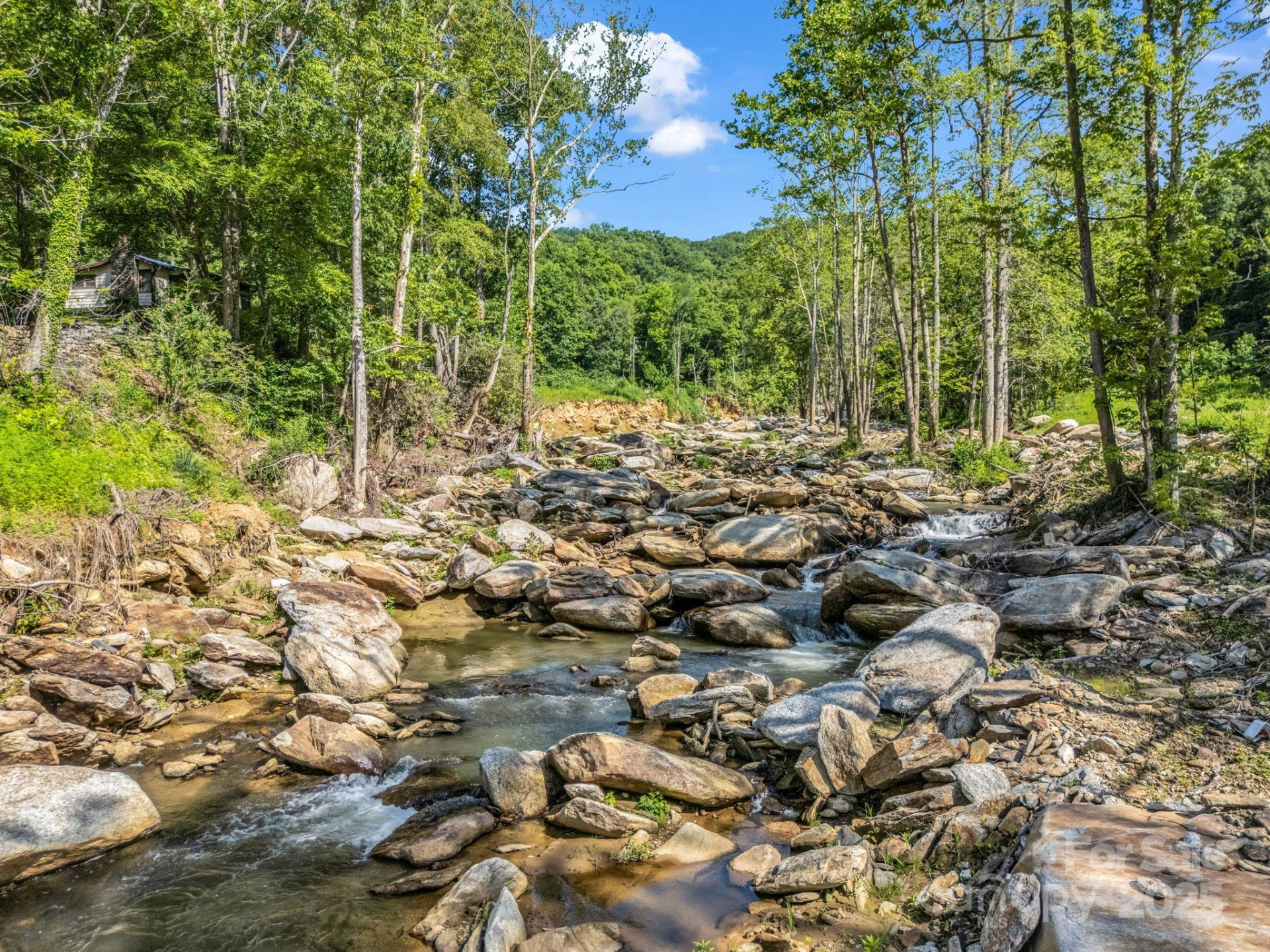 2716 Lower Flat Creek Road - Photo 8