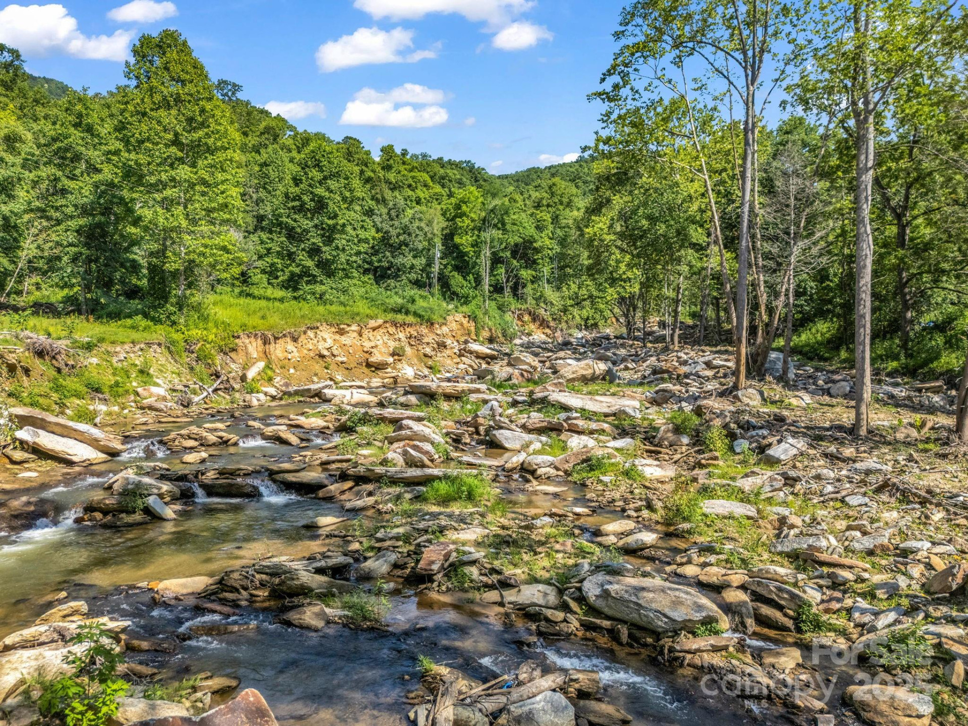 2716 Lower Flat Creek Road - Photo 9