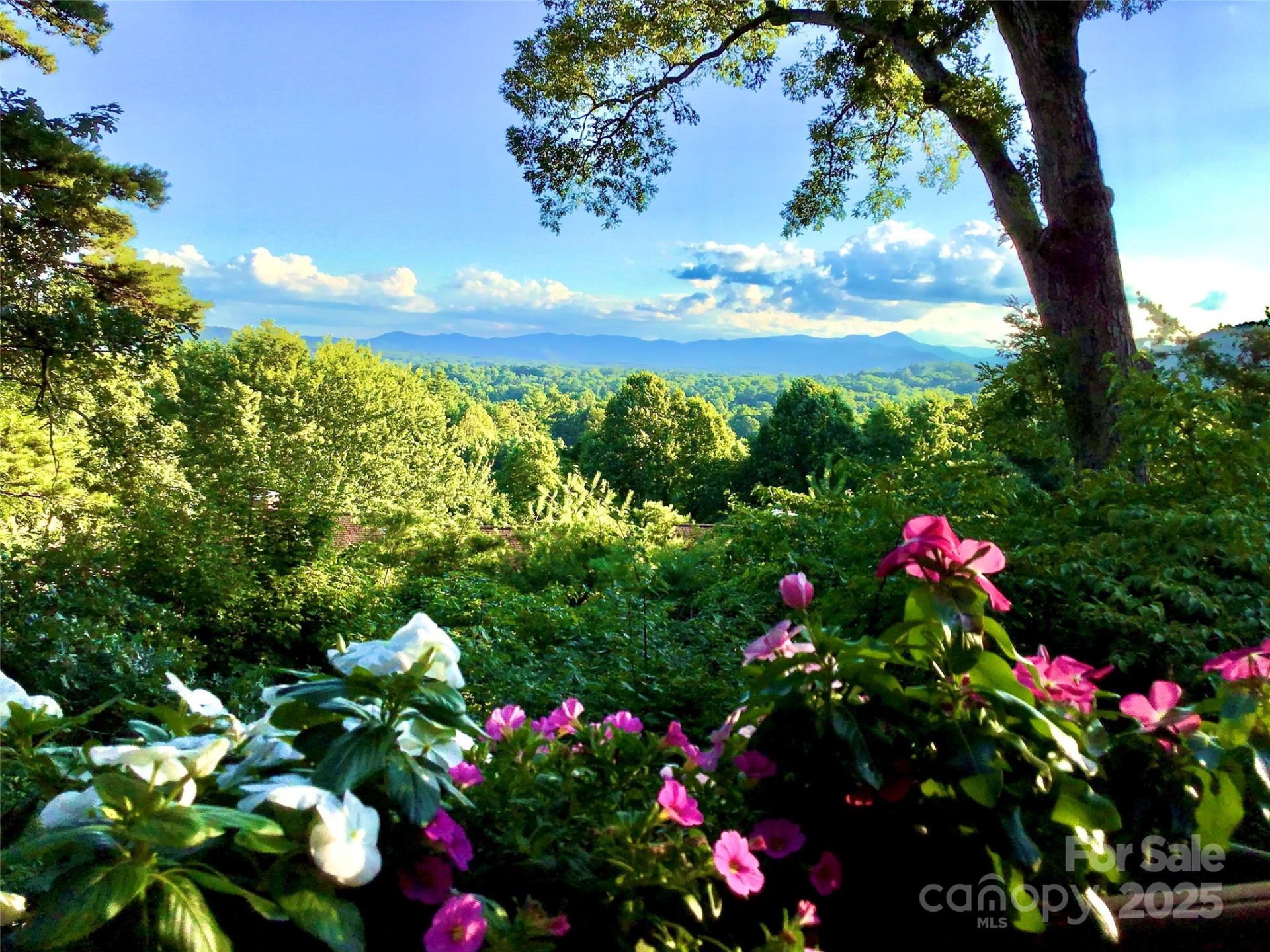 305 Piney Mountain Drive #C-1