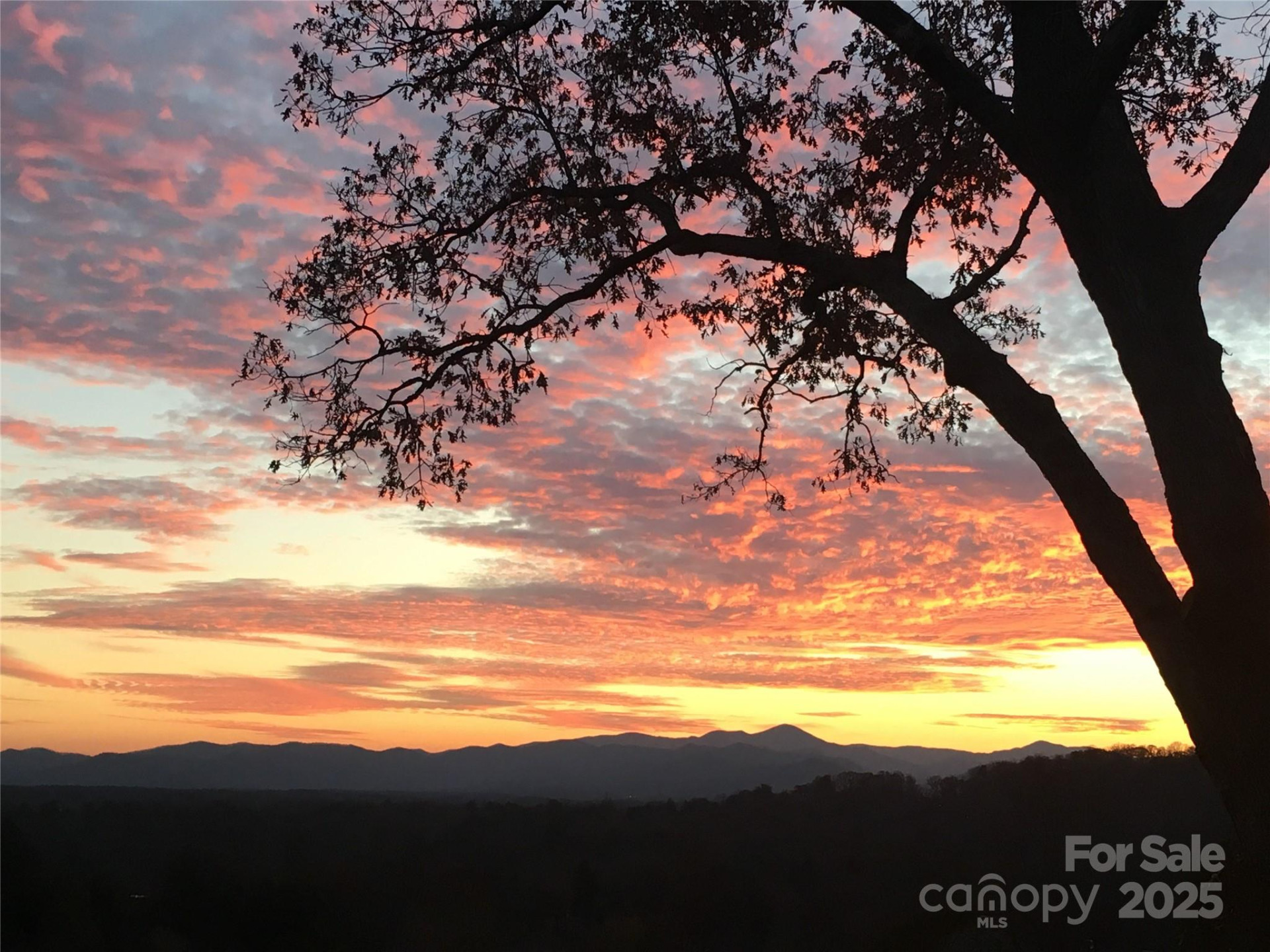 305 Piney Mountain Drive #C-1 - Photo 3